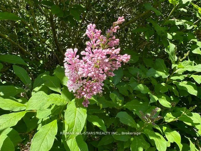 Photo 25 of 33 Edwina Drive, Trent Lakes — HOMEH