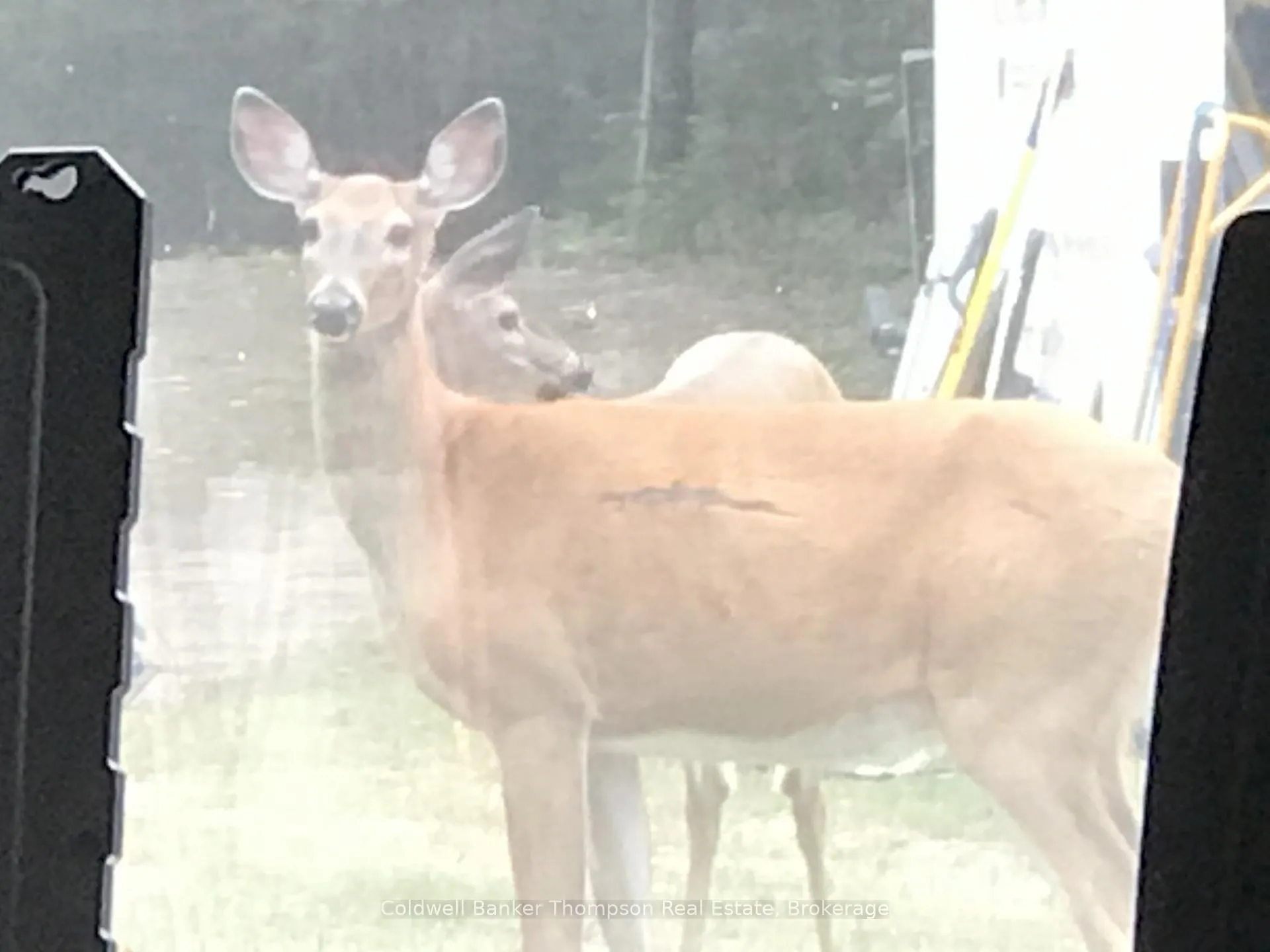 Photo 40 of 183 Sandhill Road, Kearney — HOMEH
