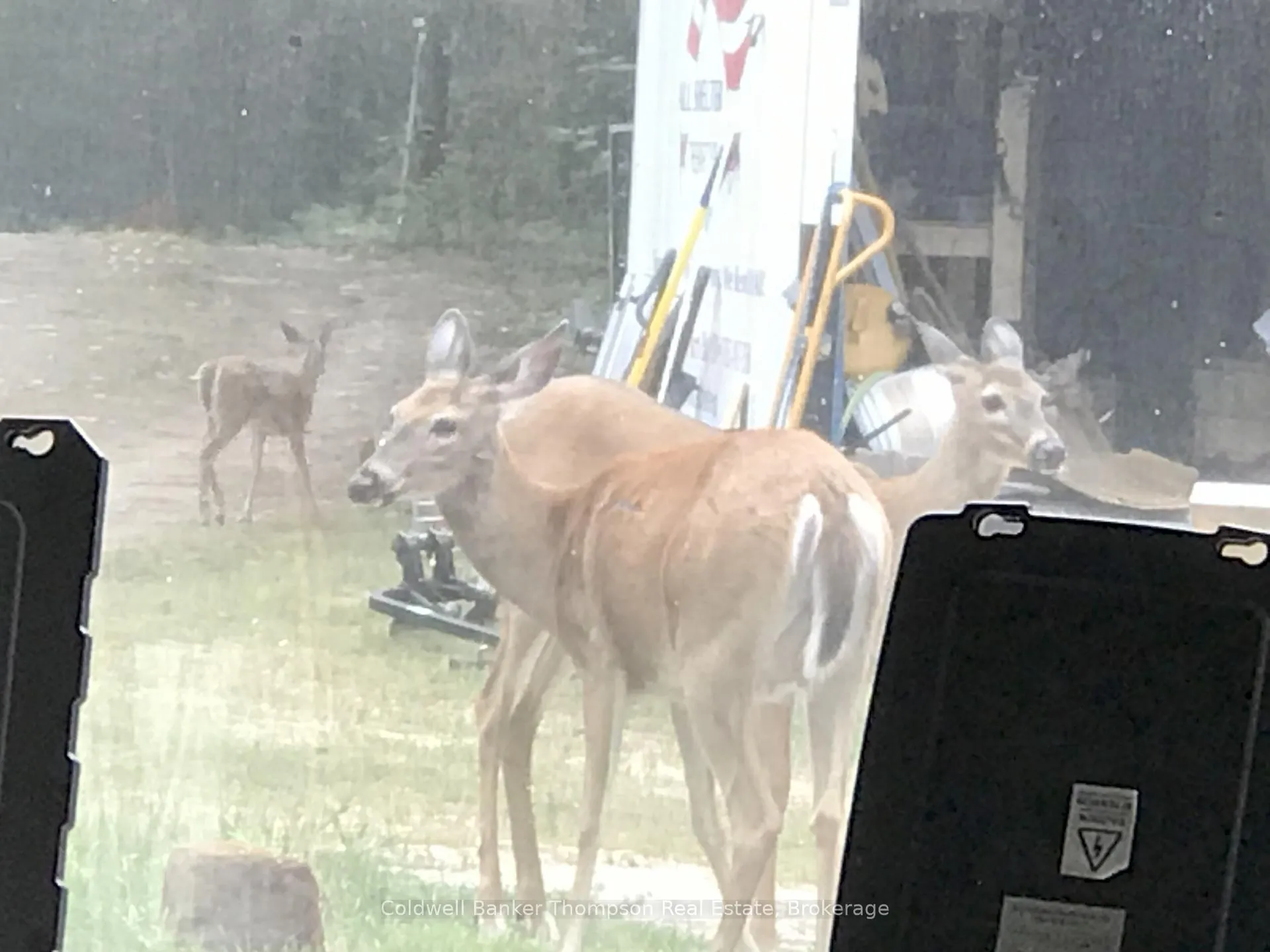 Photo 41 of 183 Sandhill Road, Kearney — HOMEH
