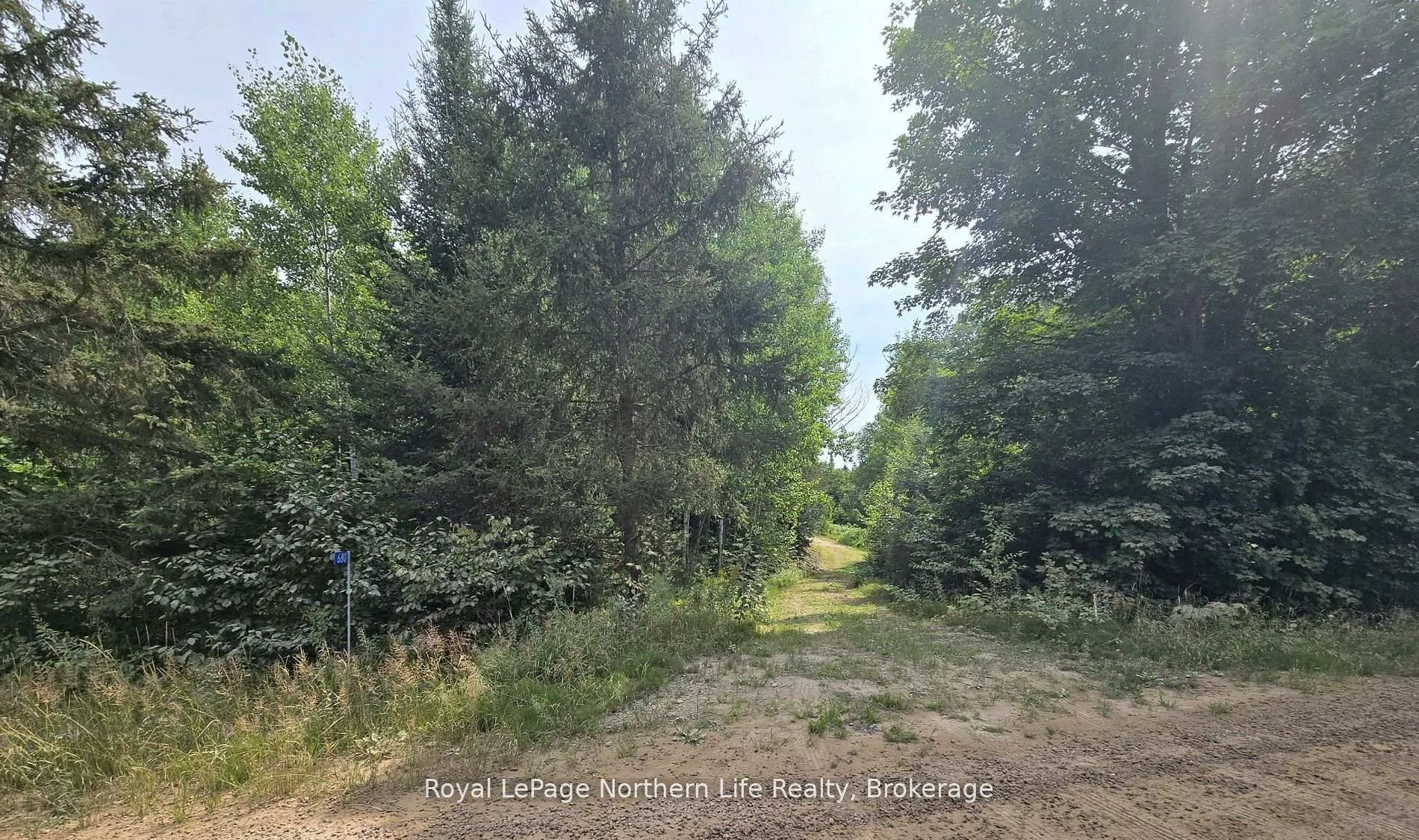 Photo 5 of 680 Mount Pleasant Road, Calvin — HOMEH