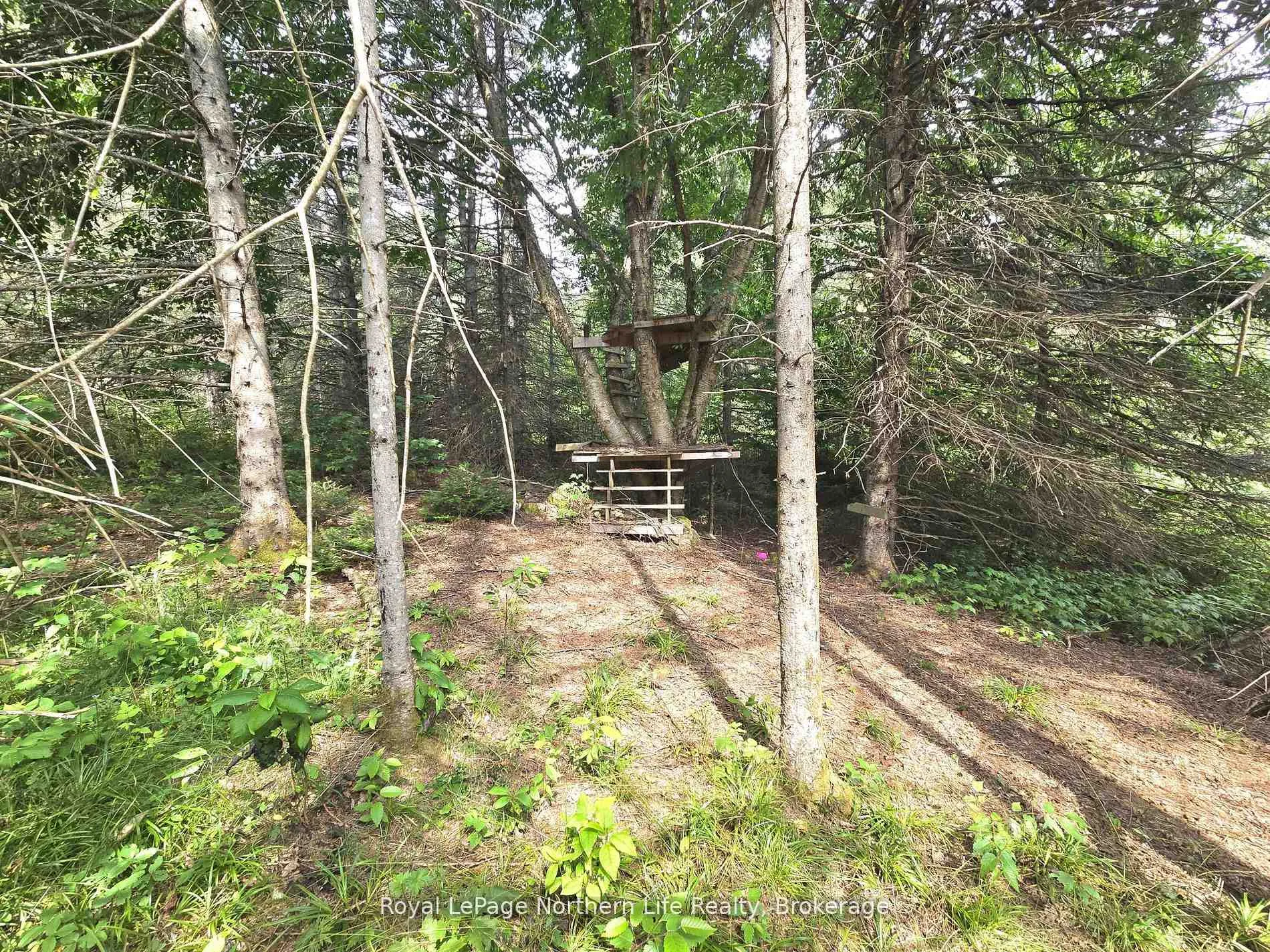 Photo 14 of 680 Mount Pleasant Road, Calvin — HOMEH