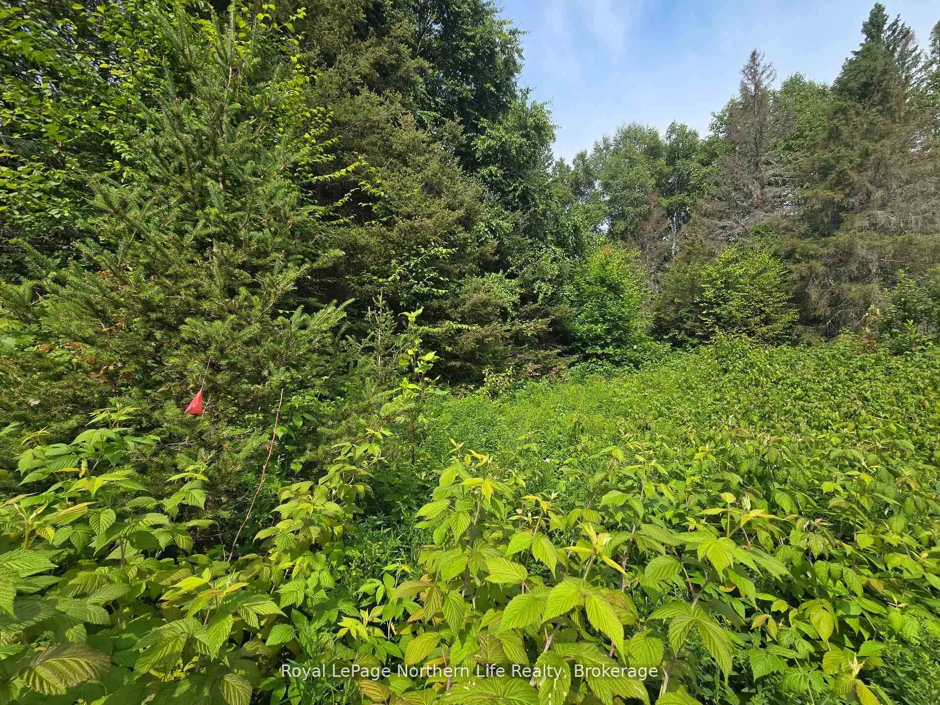 Photo 17 of 680 Mount Pleasant Road, Calvin — HOMEH