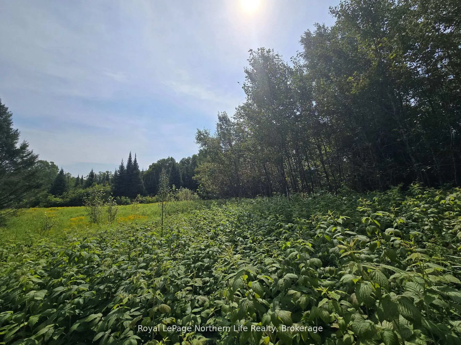 Photo 18 of 680 Mount Pleasant Road, Calvin — HOMEH