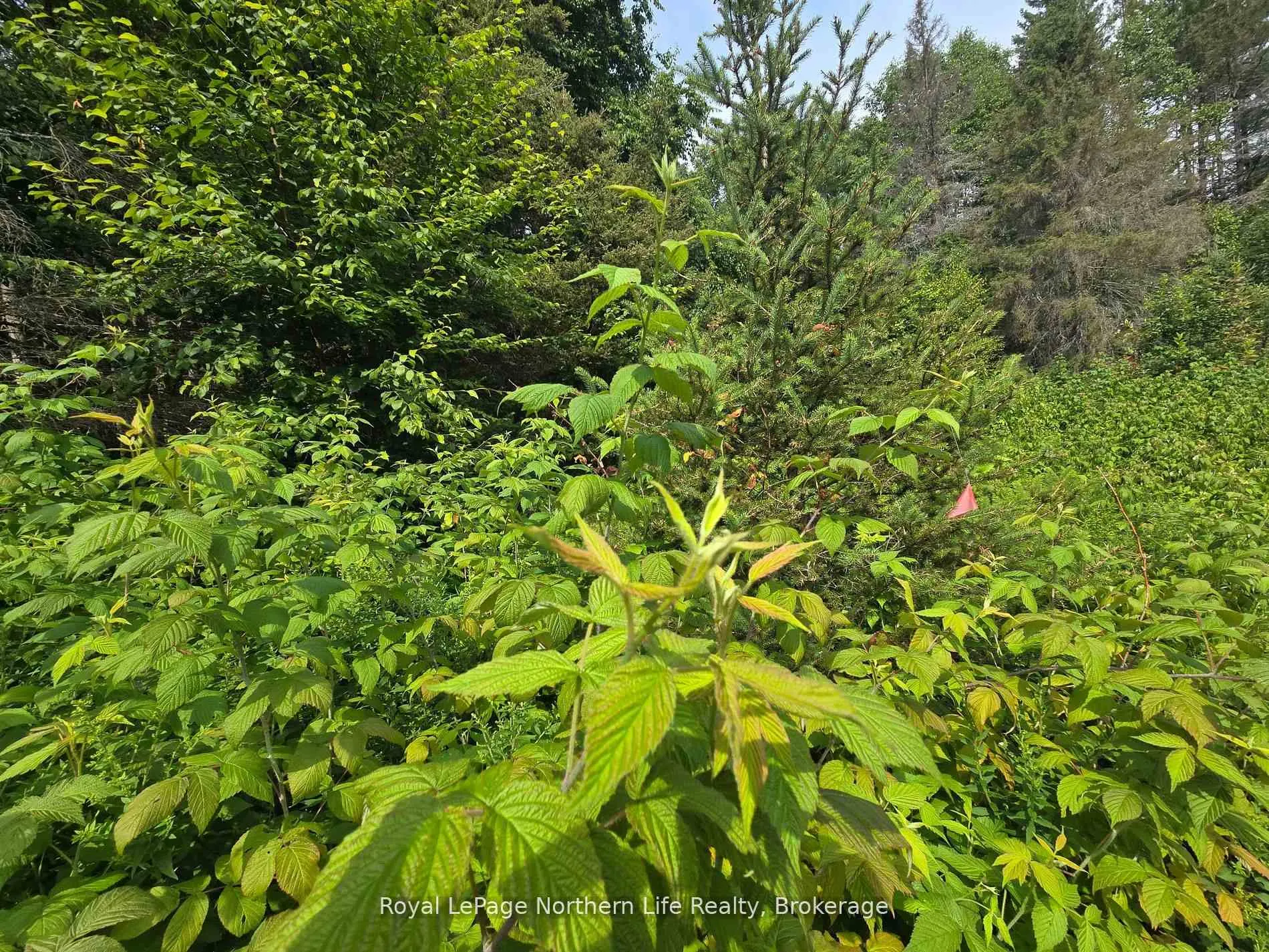 Photo 19 of 680 Mount Pleasant Road, Calvin — HOMEH