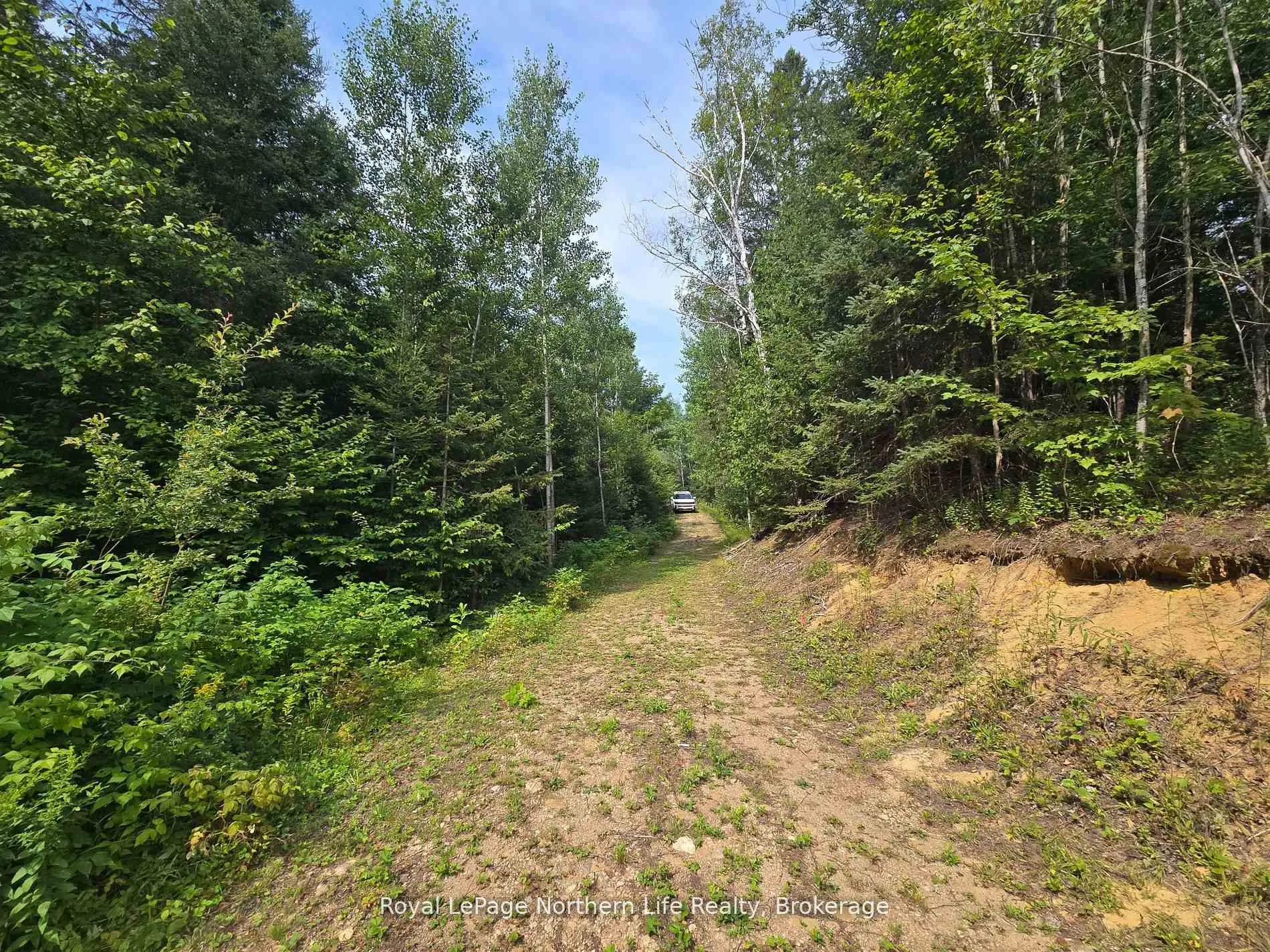 Photo 20 of 680 Mount Pleasant Road, Calvin — HOMEH