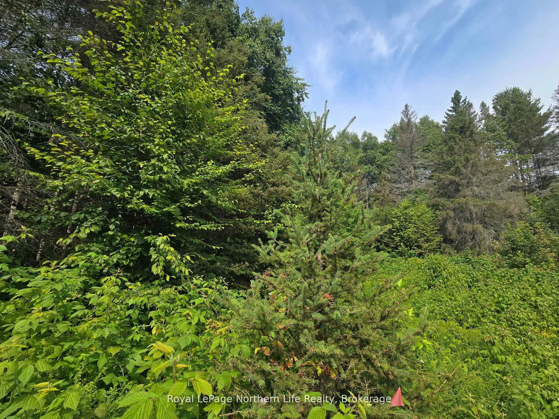 Photo 26 of 680 Mount Pleasant Road, Calvin — HOMEH