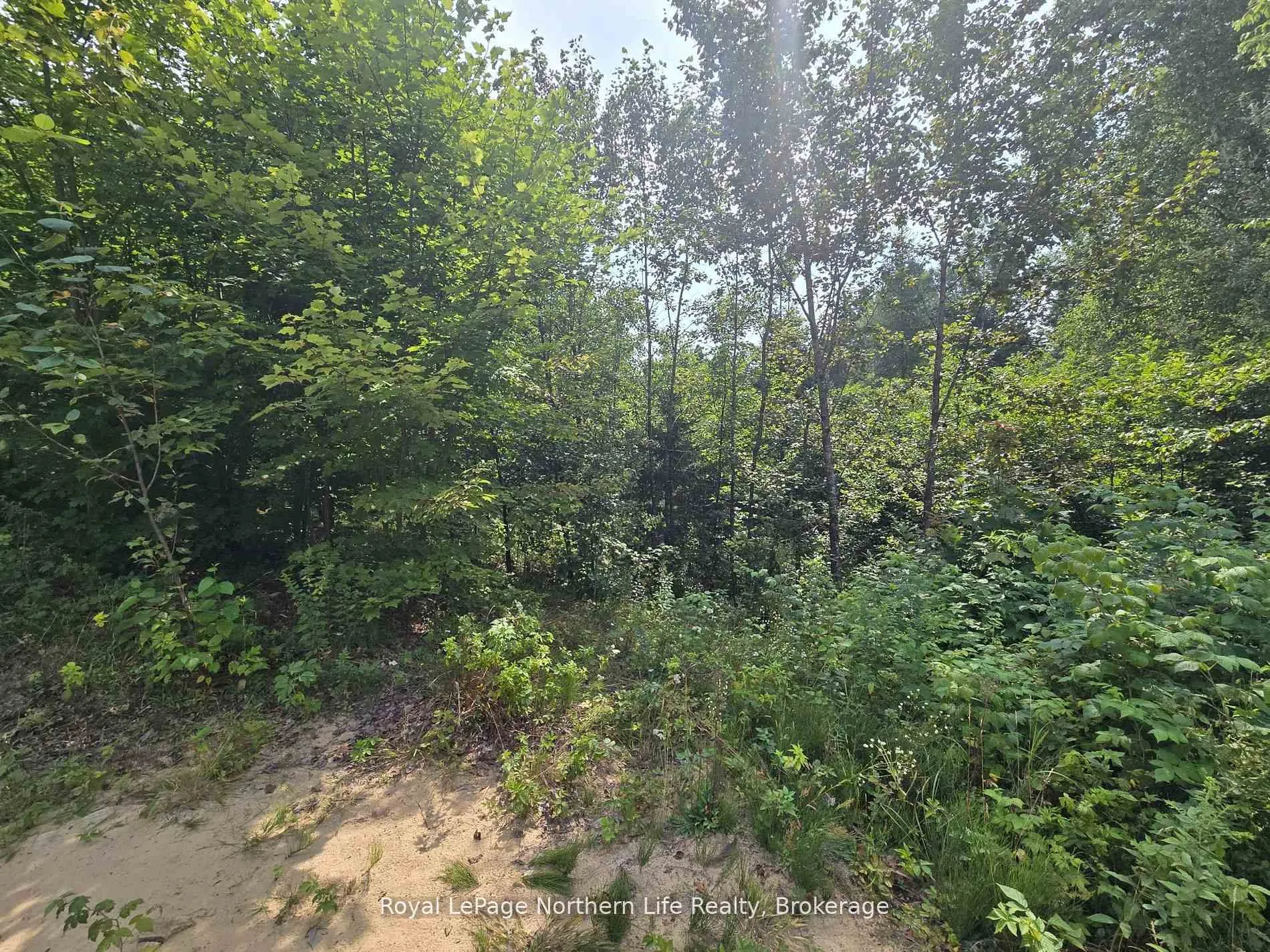 Photo 28 of 680 Mount Pleasant Road, Calvin — HOMEH