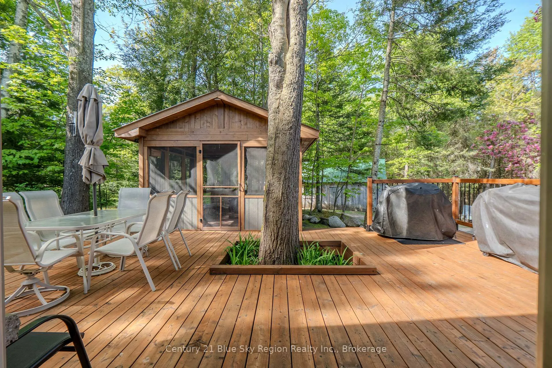Photo 35 of 194 Palangio Road, Bonfield — HOMEH