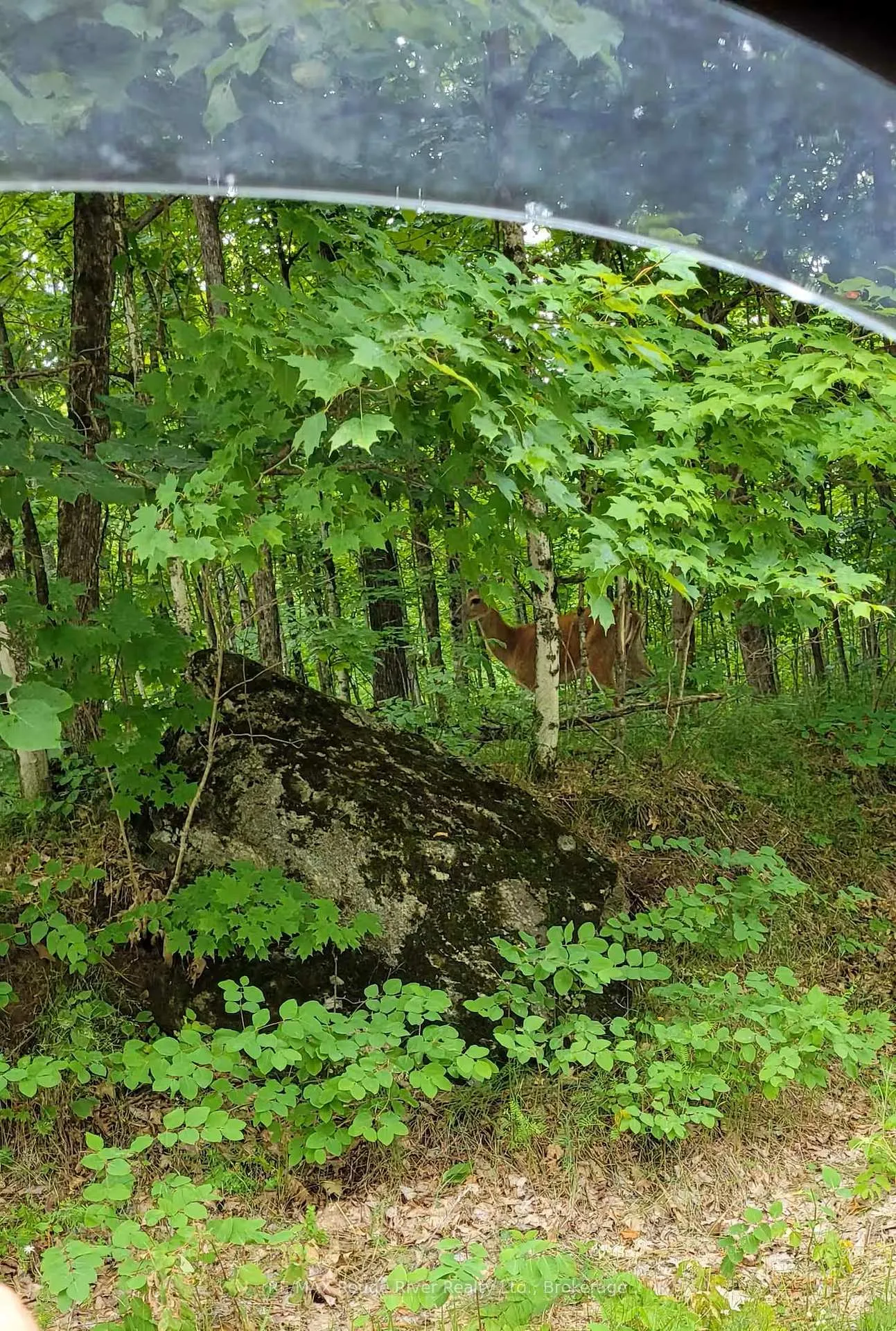 Photo 37 of 1246 Sugar Bush Lane, Minden Hills, Minden — HOMEH