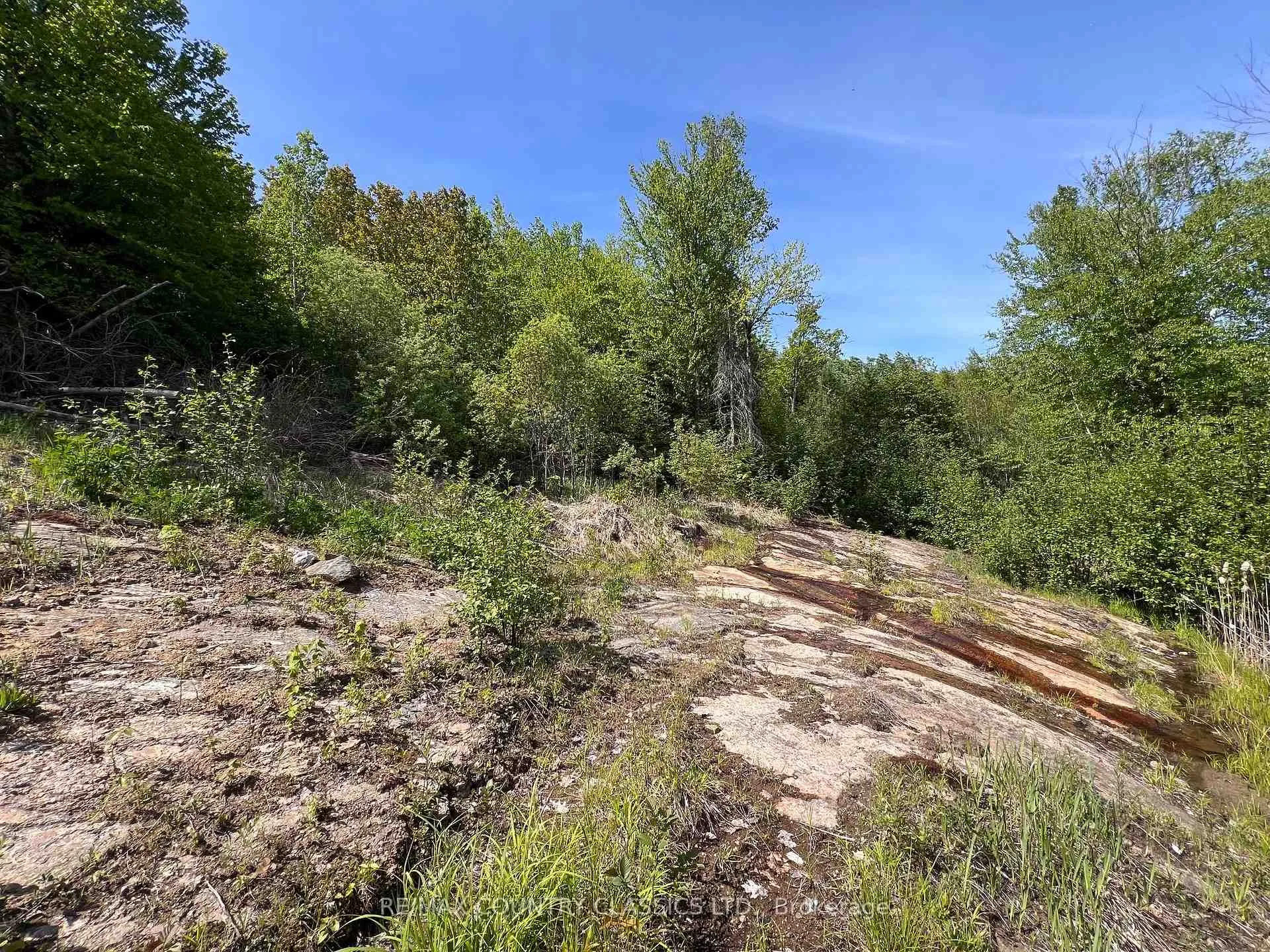 Photo 28 of 39132 Combermere Road, Madawaska Valley, Madawaska Valley — HOMEH
