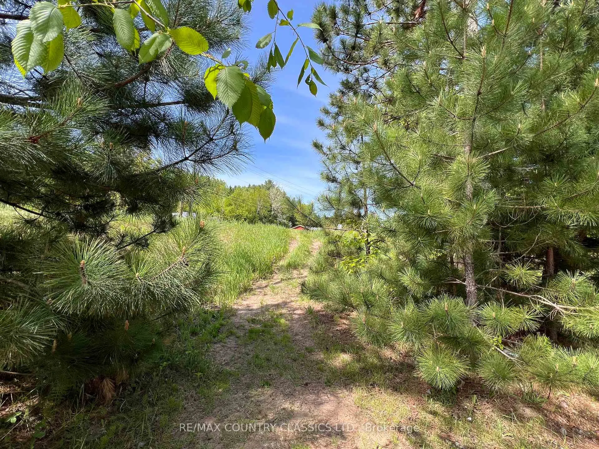 Photo 31 of 39132 Combermere Road, Madawaska Valley, Madawaska Valley — HOMEH