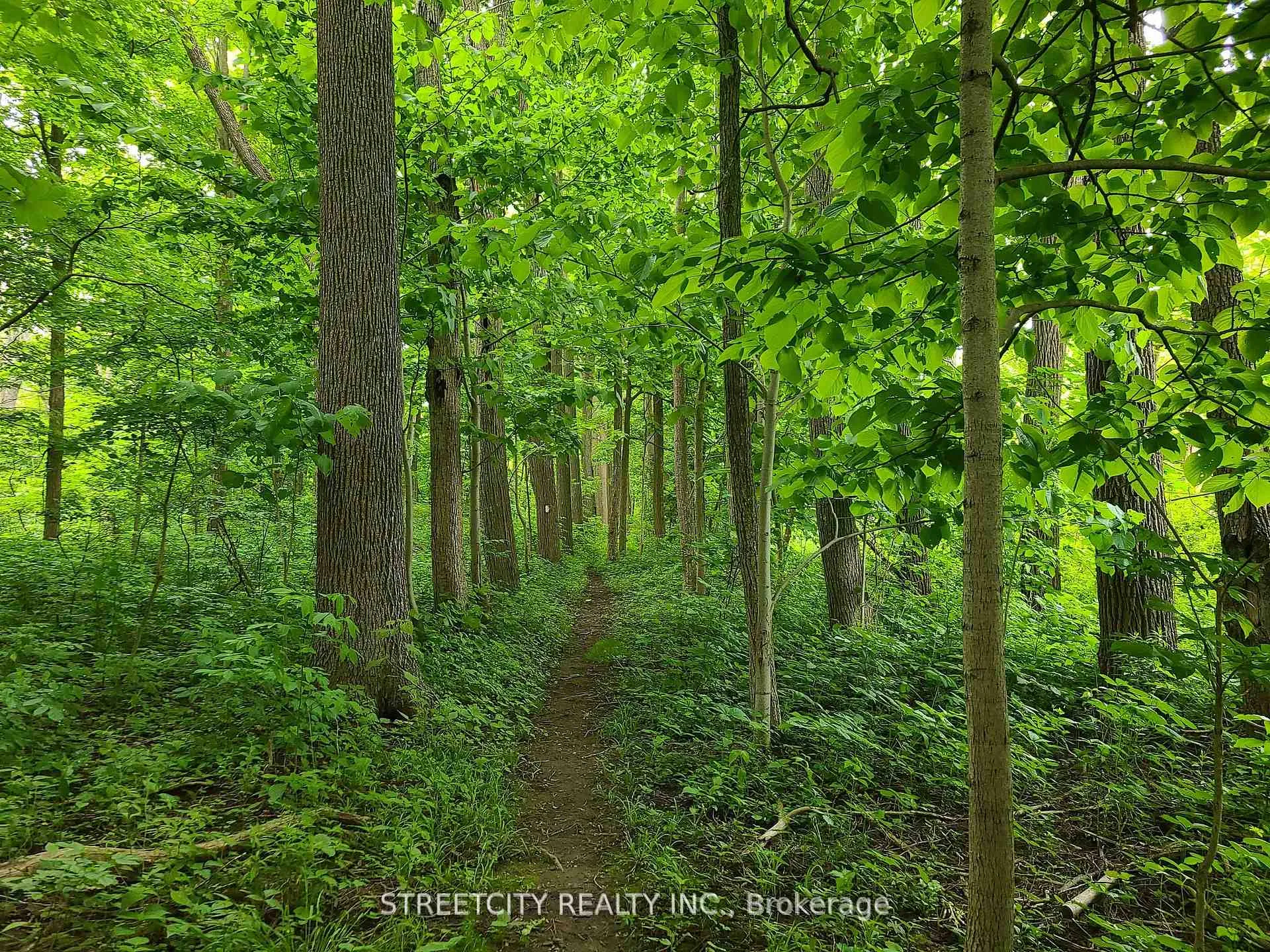 Photo 9 of 38803 Talbot Line, Southwold, Paynes Mills — HOMEH