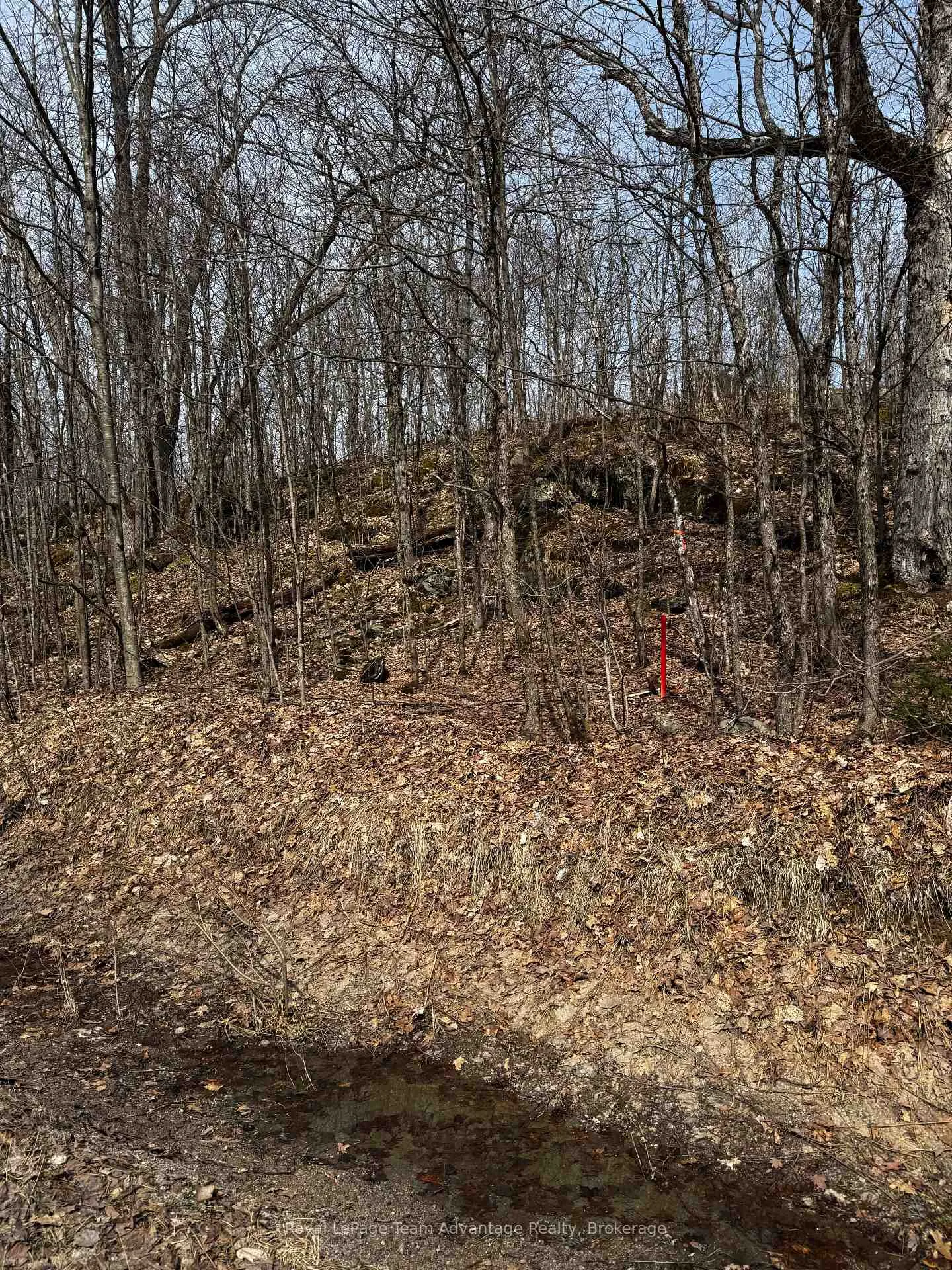 Photo 6 of Lot 1 Lorimer Lake Road, Whitestone, Hagerman — HOMEH