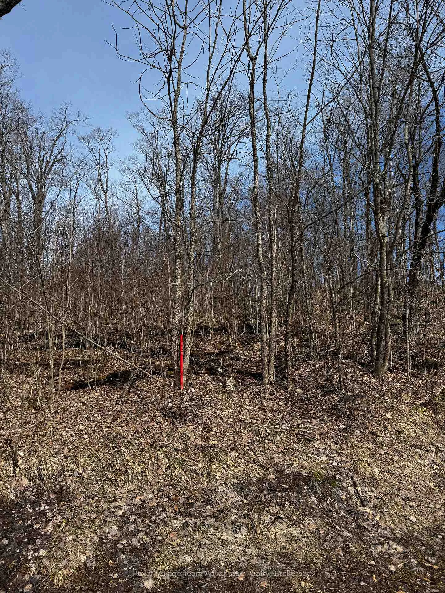 Photo 7 of Lot 1 Lorimer Lake Road, Whitestone, Hagerman — HOMEH