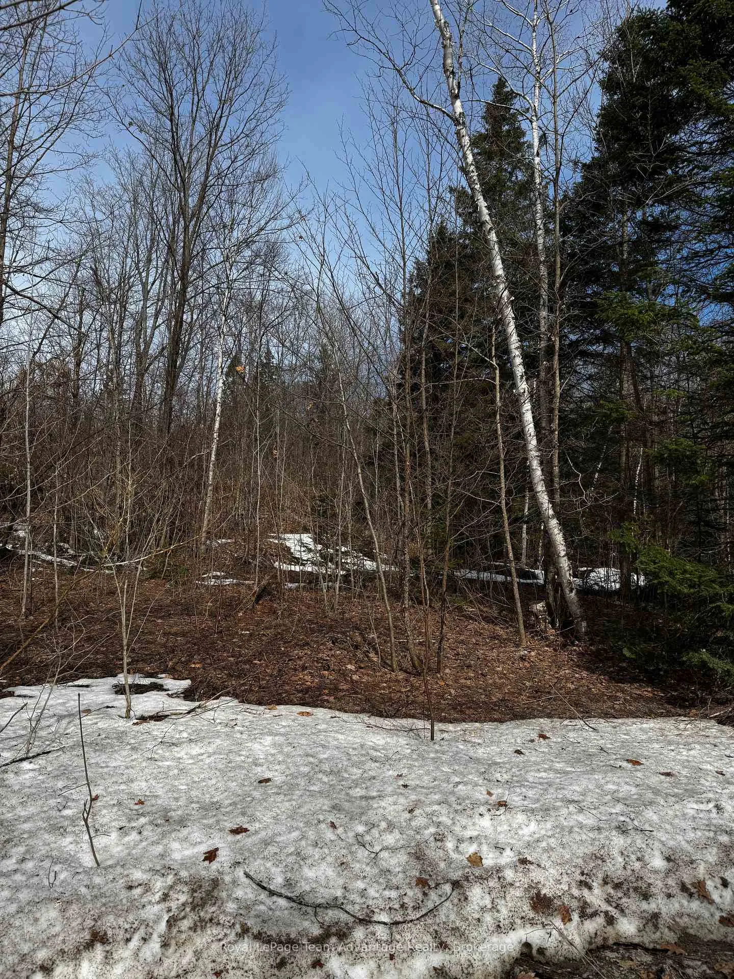 Photo 12 of Lot 1 Lorimer Lake Road, Whitestone, Hagerman — HOMEH