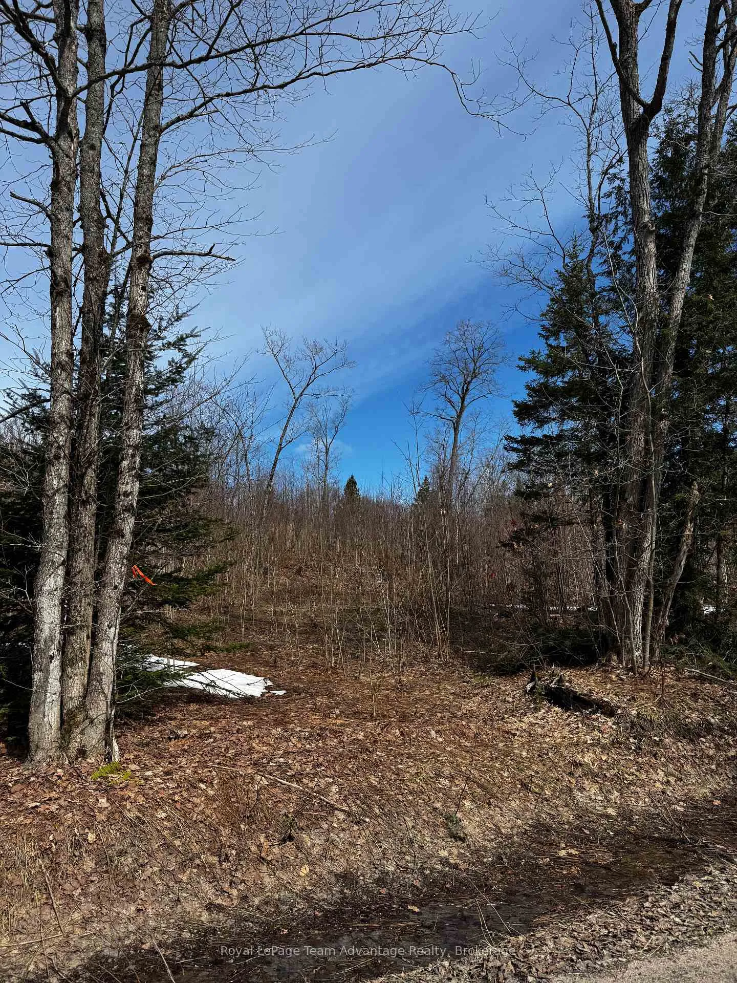 Photo 4 of Lot 2 Lorimer Lake Road, Whitestone, Hagerman — HOMEH