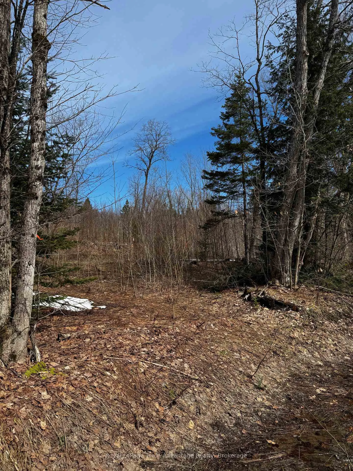 Photo 10 of Lot 2 Lorimer Lake Road, Whitestone, Hagerman — HOMEH