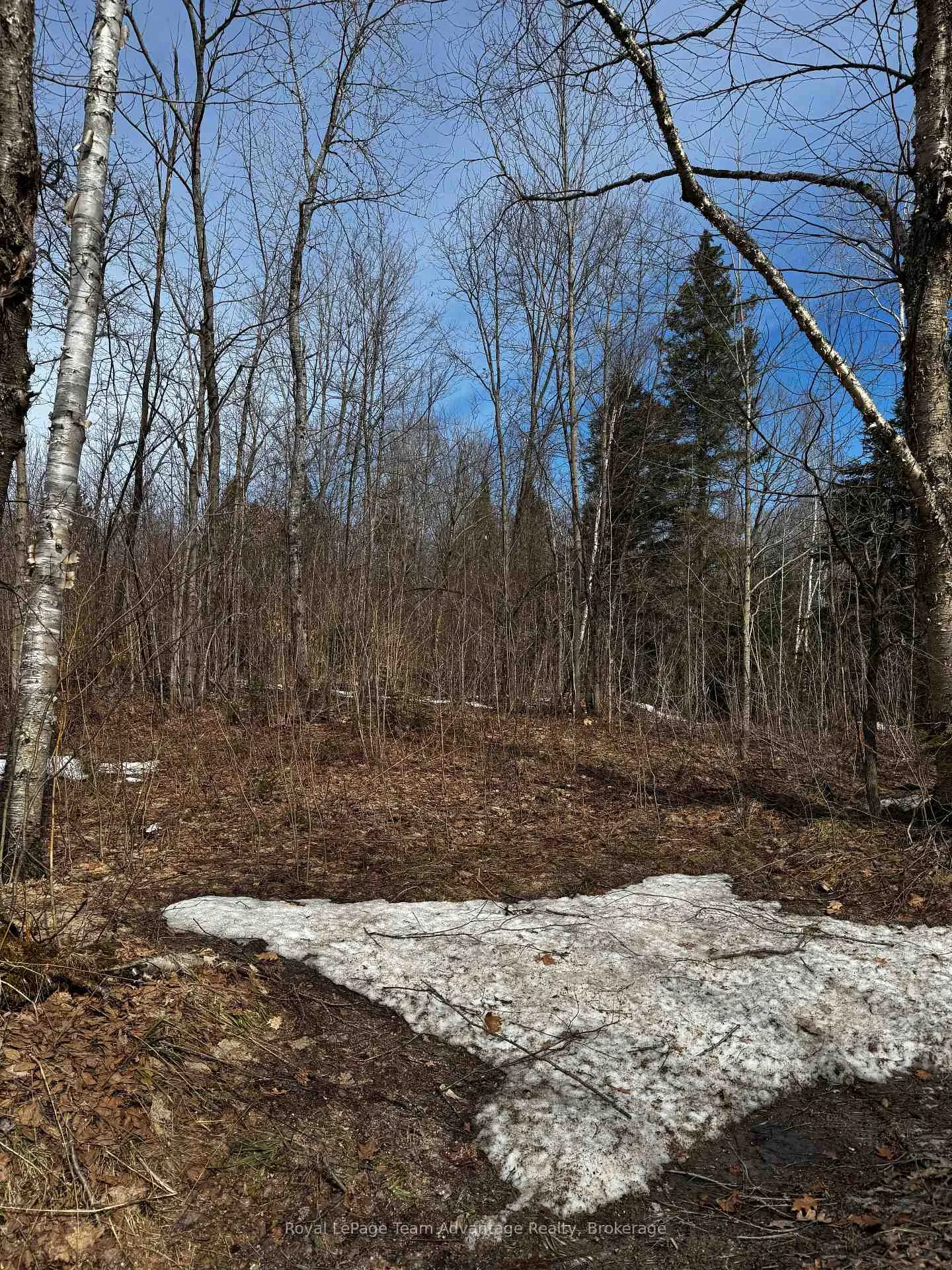 Photo 11 of Lot 2 Lorimer Lake Road, Whitestone, Hagerman — HOMEH