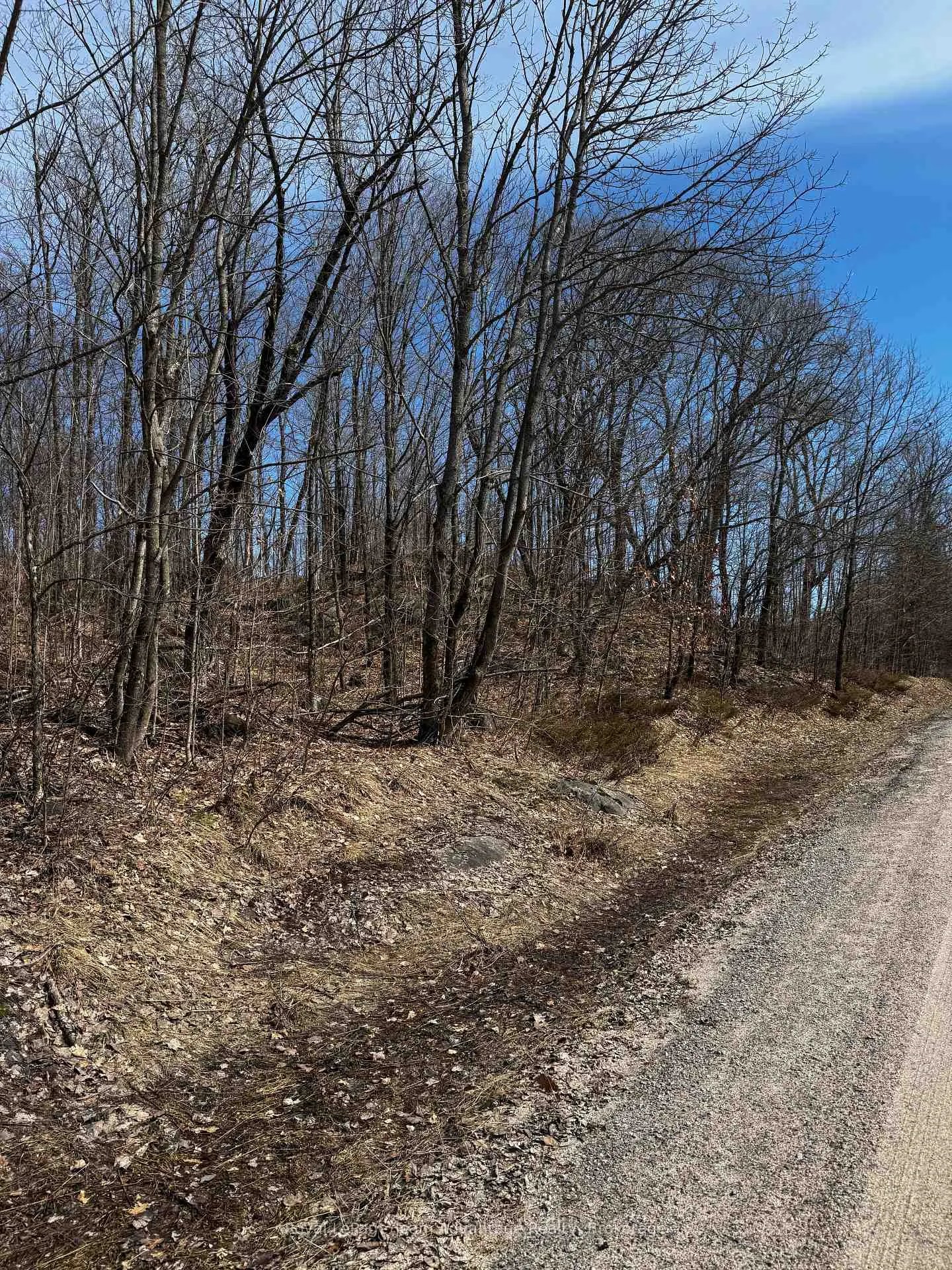 Photo 6 of Lot 3 Lorimer Lake Road, Whitestone, Hagerman — HOMEH