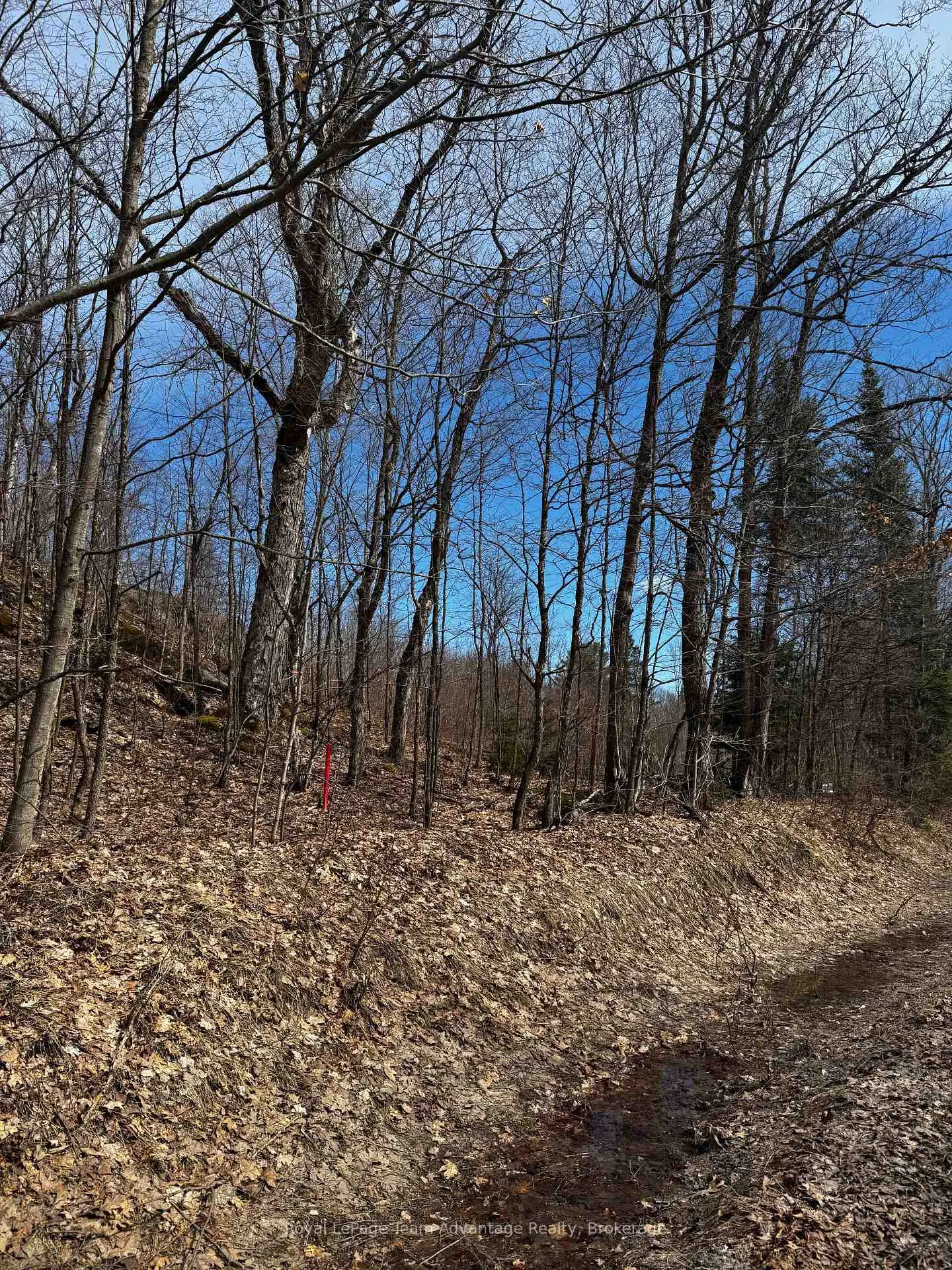 Photo 7 of Lot 3 Lorimer Lake Road, Whitestone, Hagerman — HOMEH
