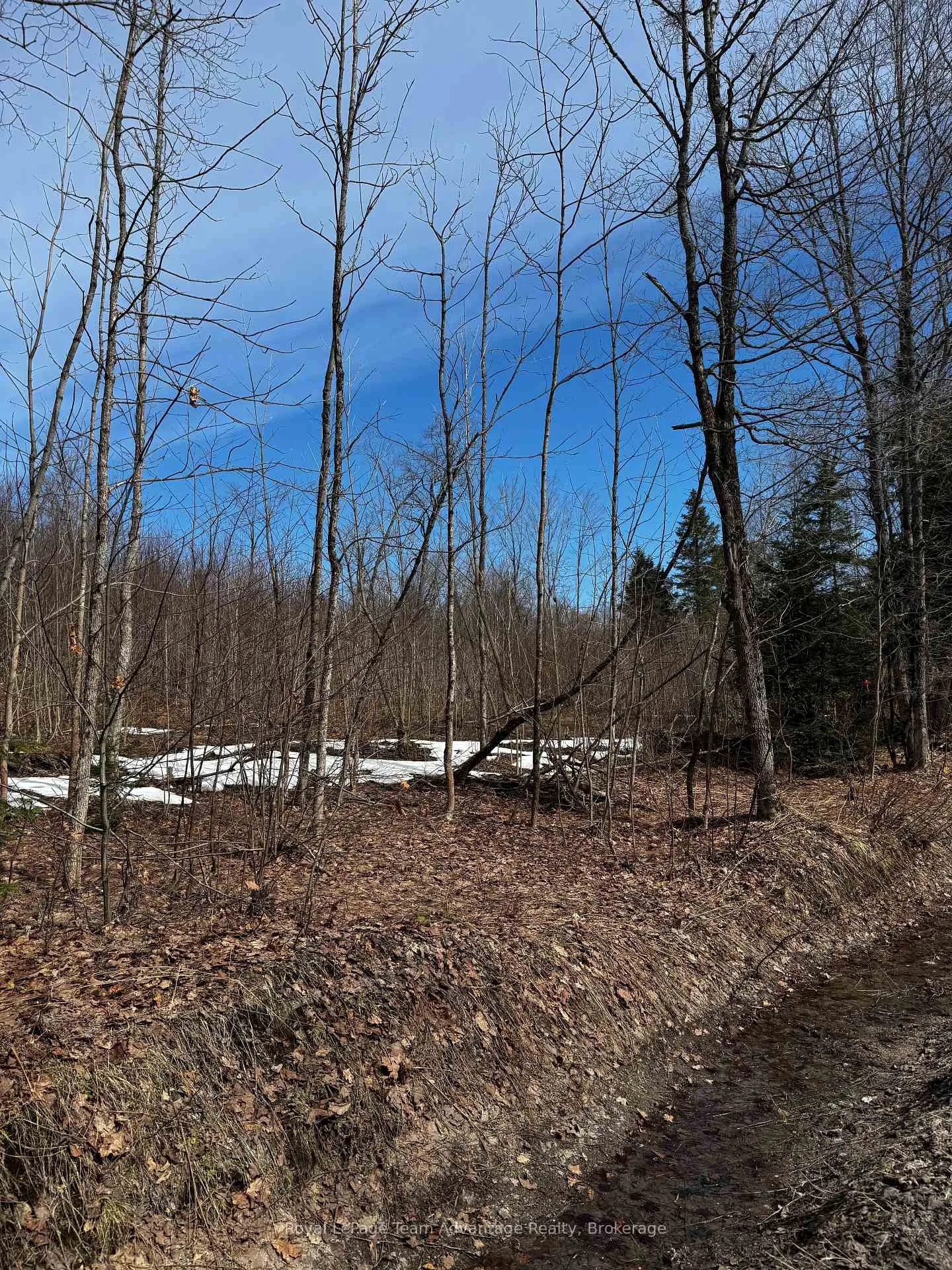 Photo 8 of Lot 3 Lorimer Lake Road, Whitestone, Hagerman — HOMEH