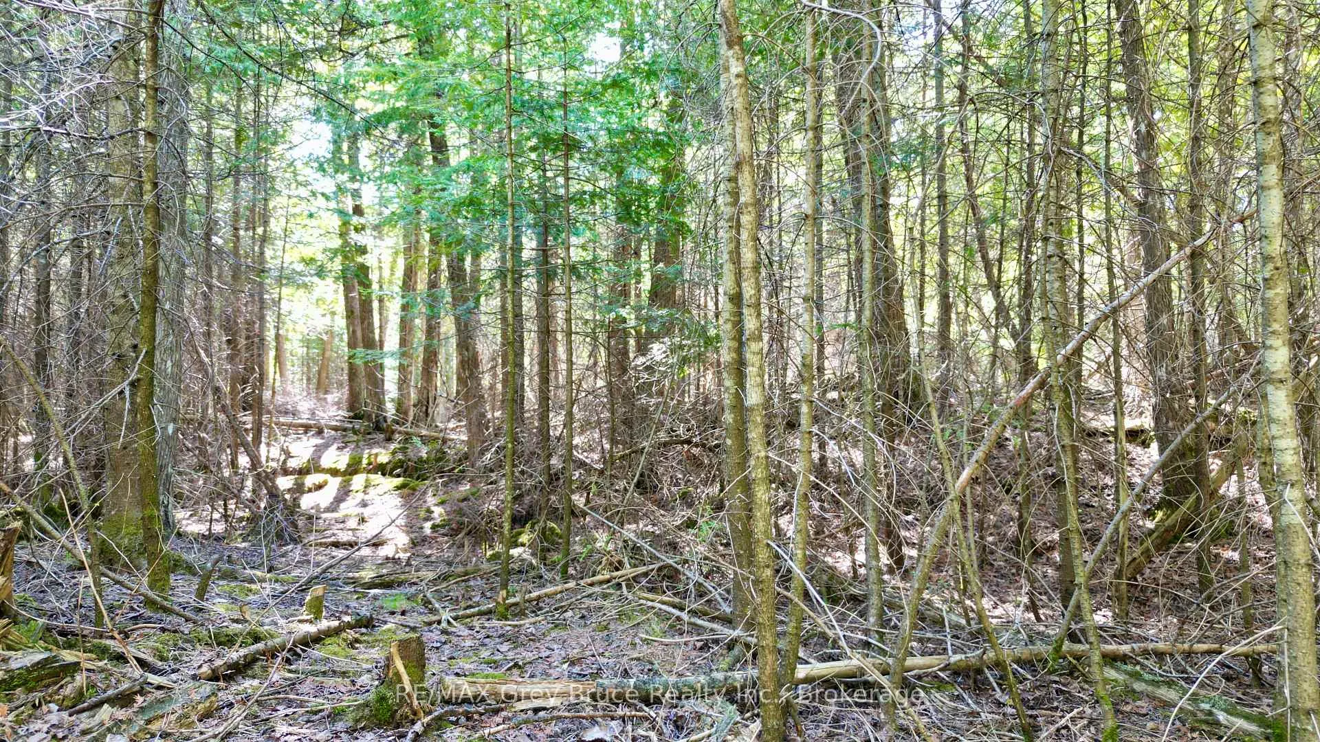 Photo 4 of PART 71 Libby Street, Northern Bruce Peninsula — HOMEH