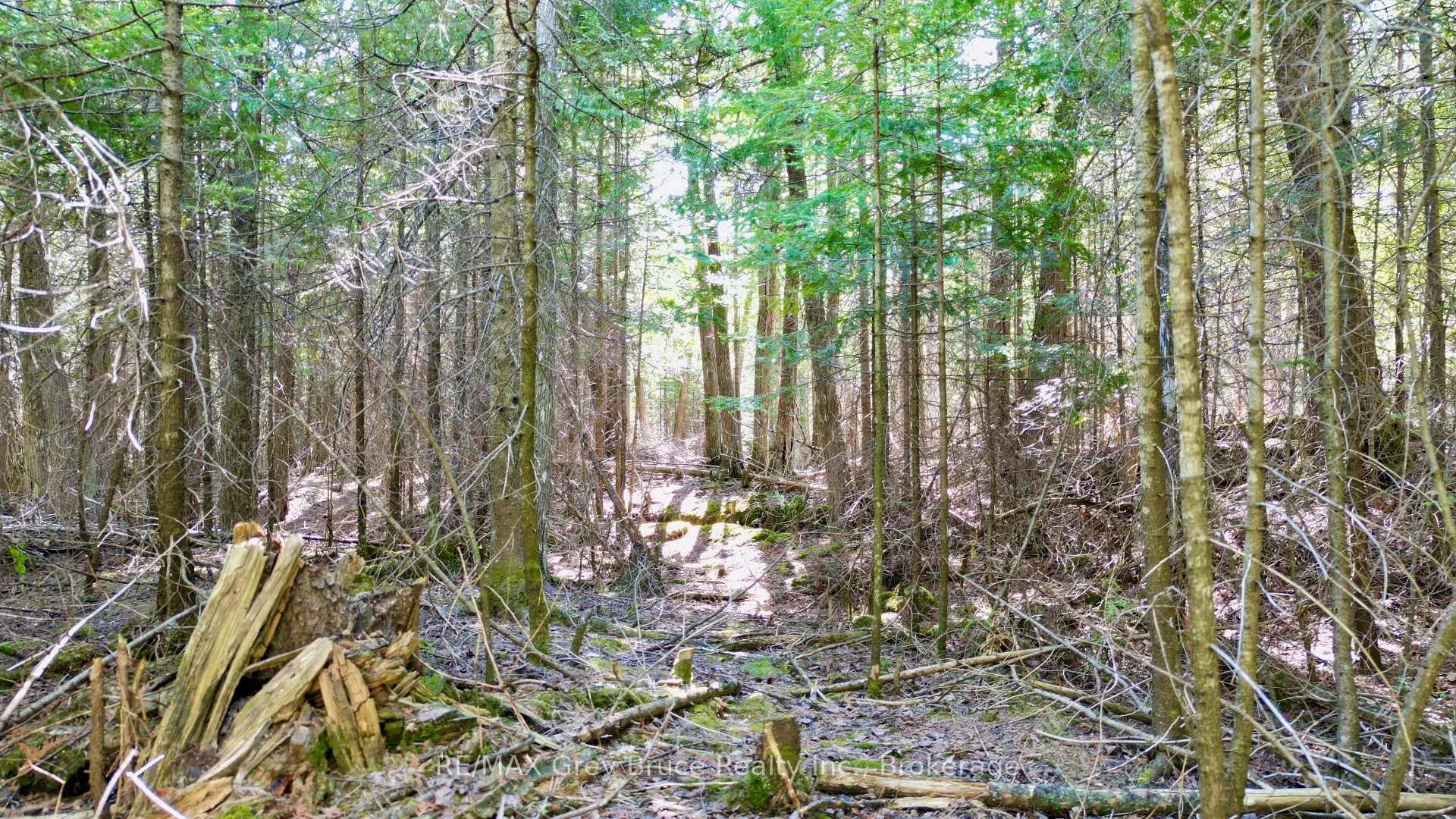 Photo 6 of PART 71 Libby Street, Northern Bruce Peninsula — HOMEH