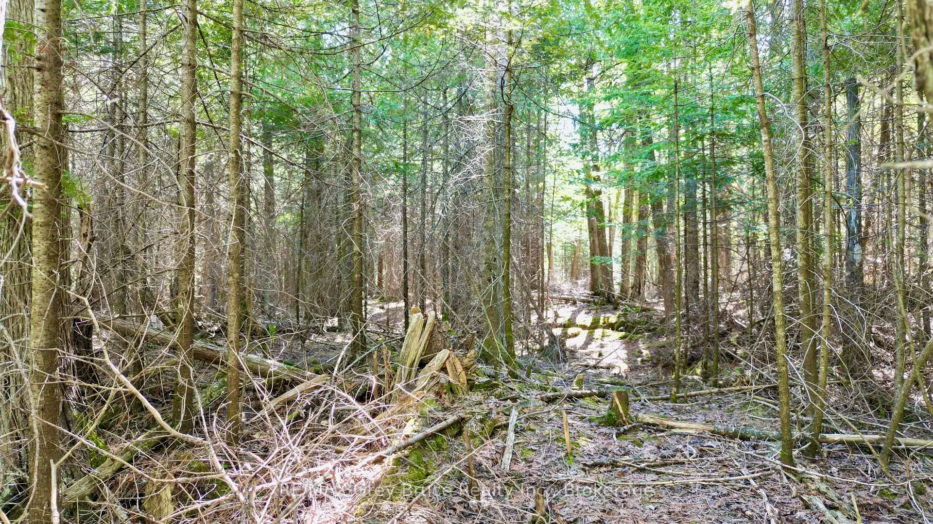 Photo 7 of PART 71 Libby Street, Northern Bruce Peninsula — HOMEH