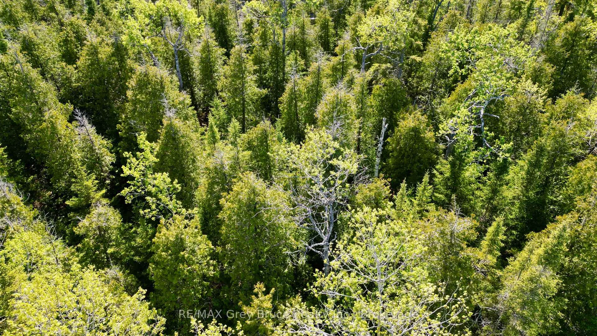Photo 11 of PART 71 Libby Street, Northern Bruce Peninsula — HOMEH