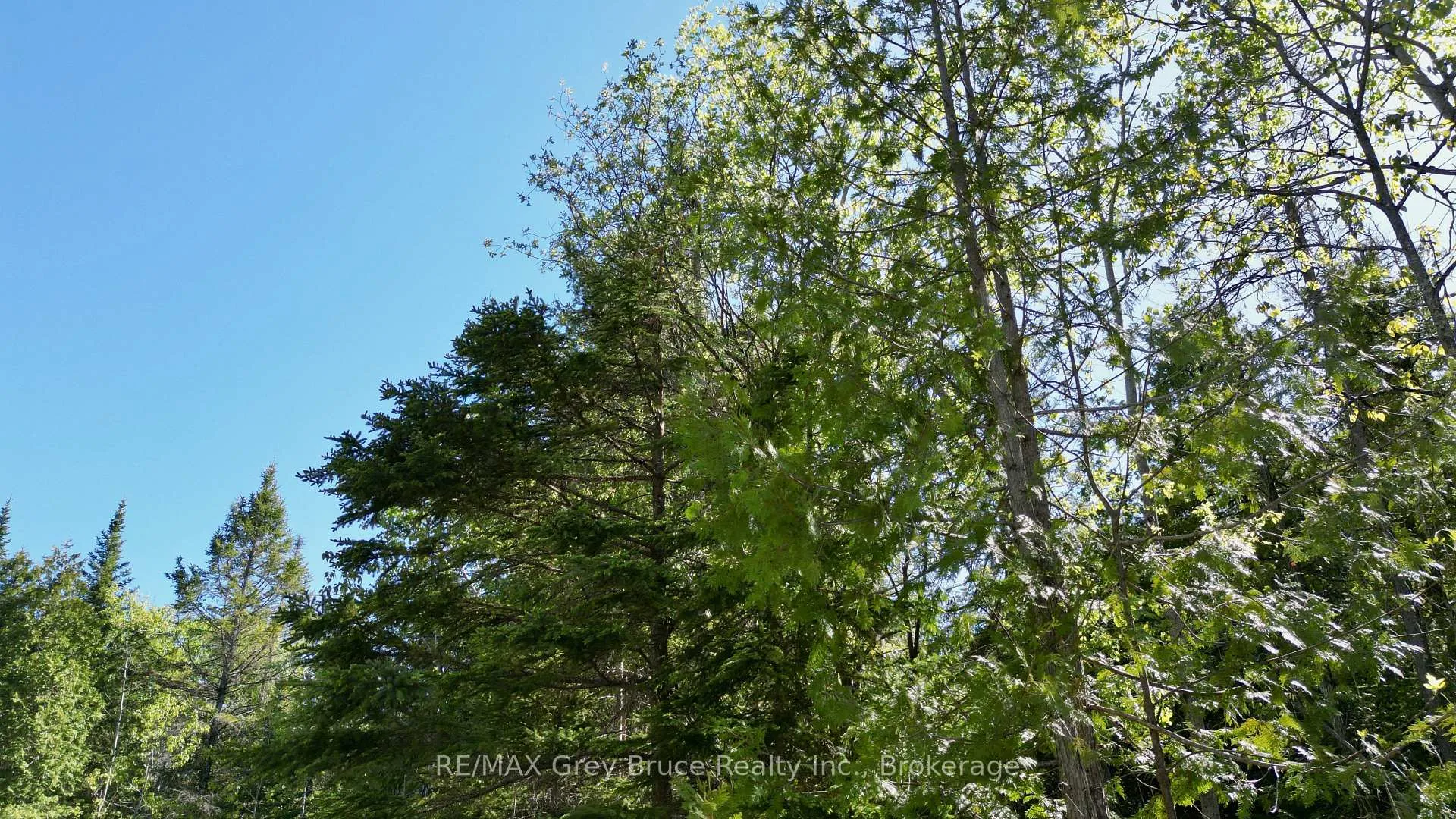 Photo 24 of PART 71 Libby Street, Northern Bruce Peninsula — HOMEH
