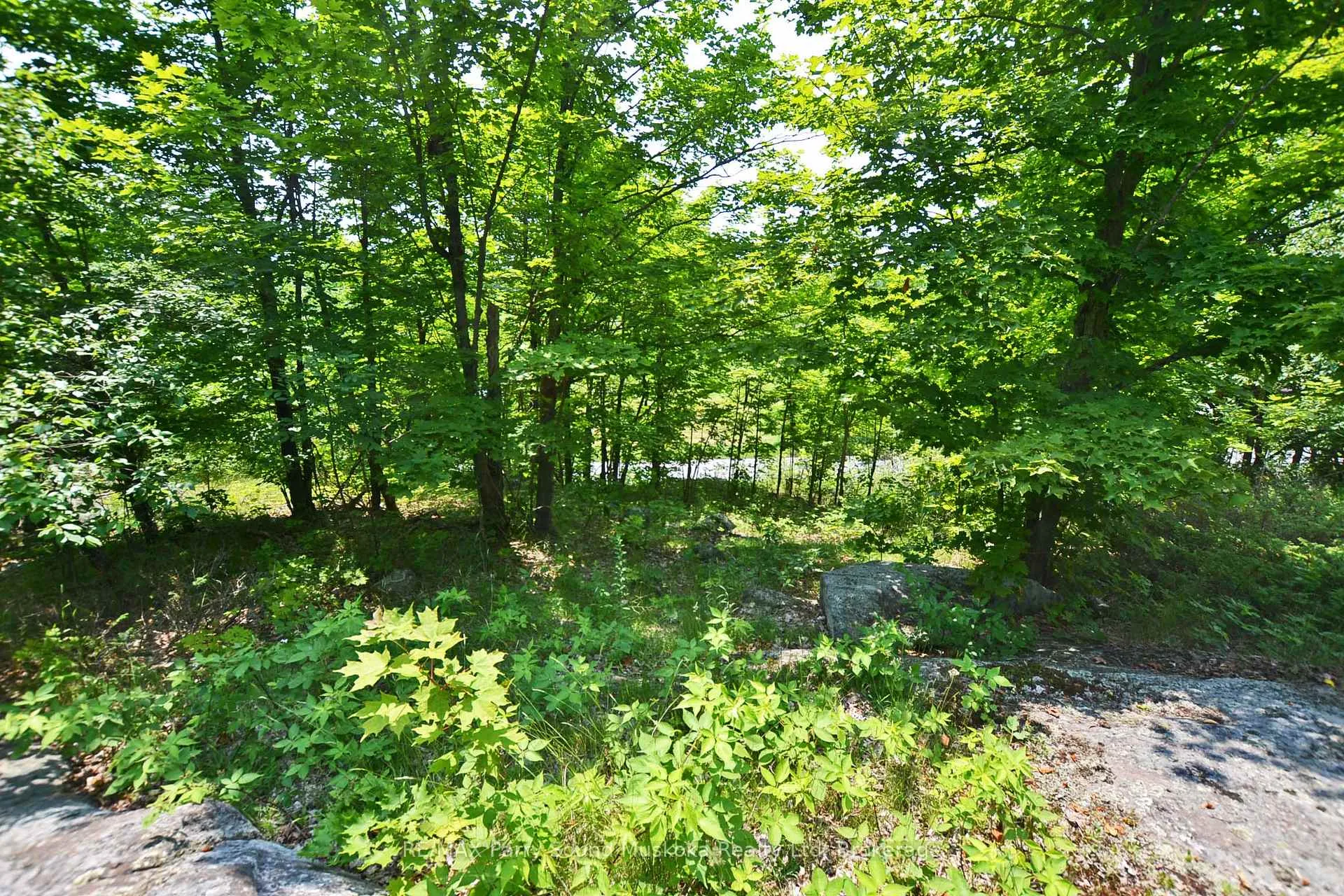 Photo 1 of 19 Turtle Lane, Parry Sound — HOMEH