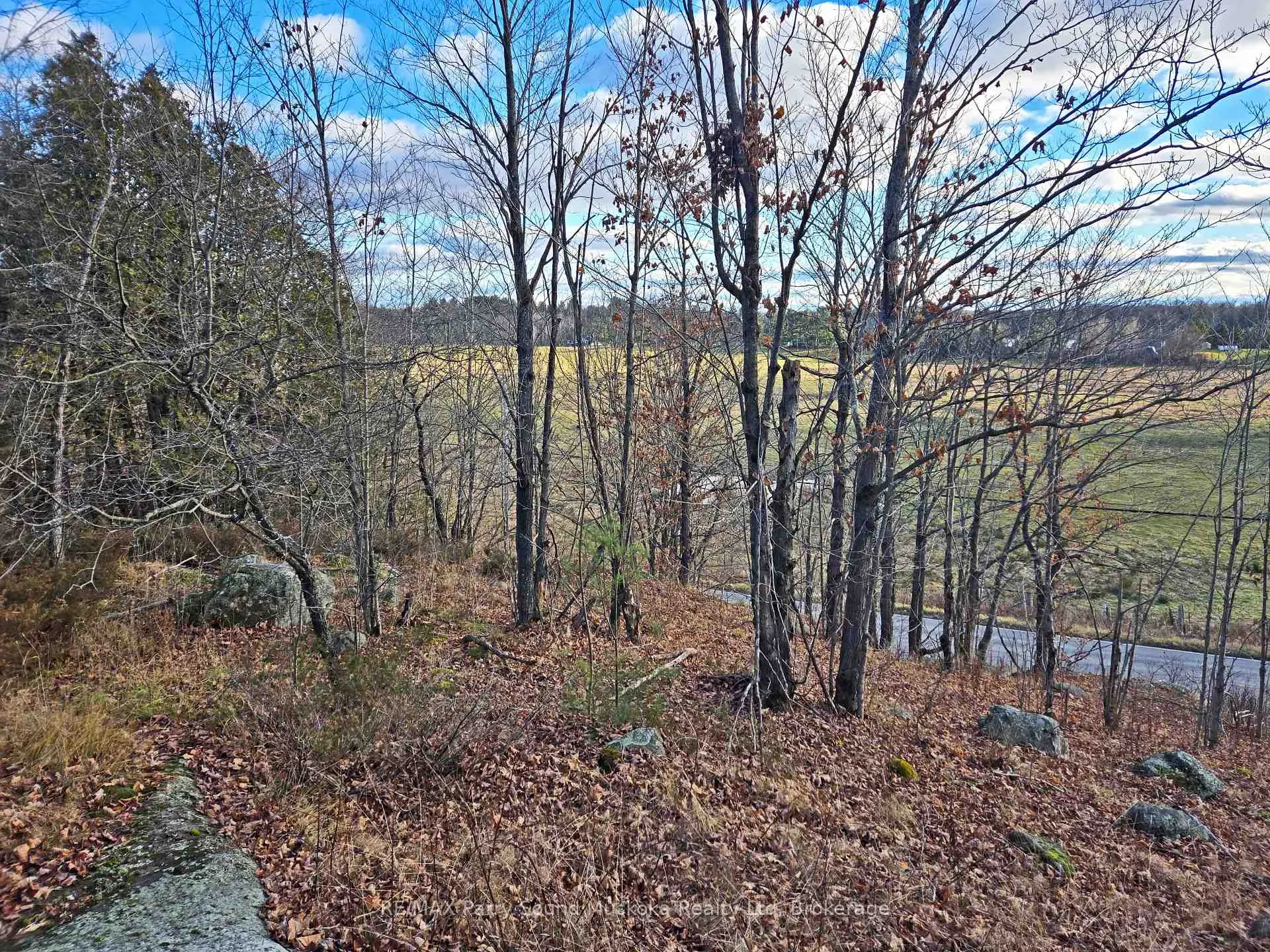 Photo 4 of 19 Turtle Lane, Parry Sound — HOMEH