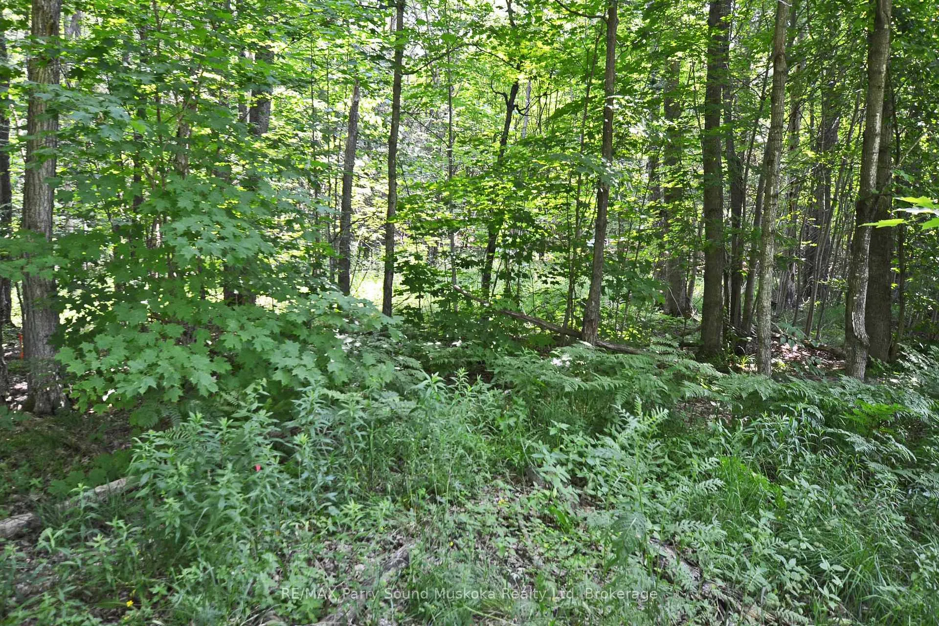 Photo 14 of 19 Turtle Lane, Parry Sound — HOMEH