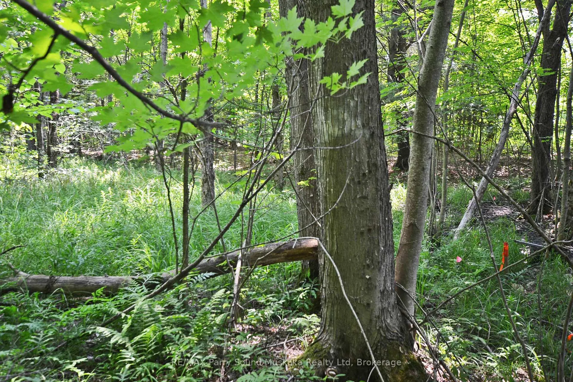 Photo 15 of 19 Turtle Lane, Parry Sound — HOMEH