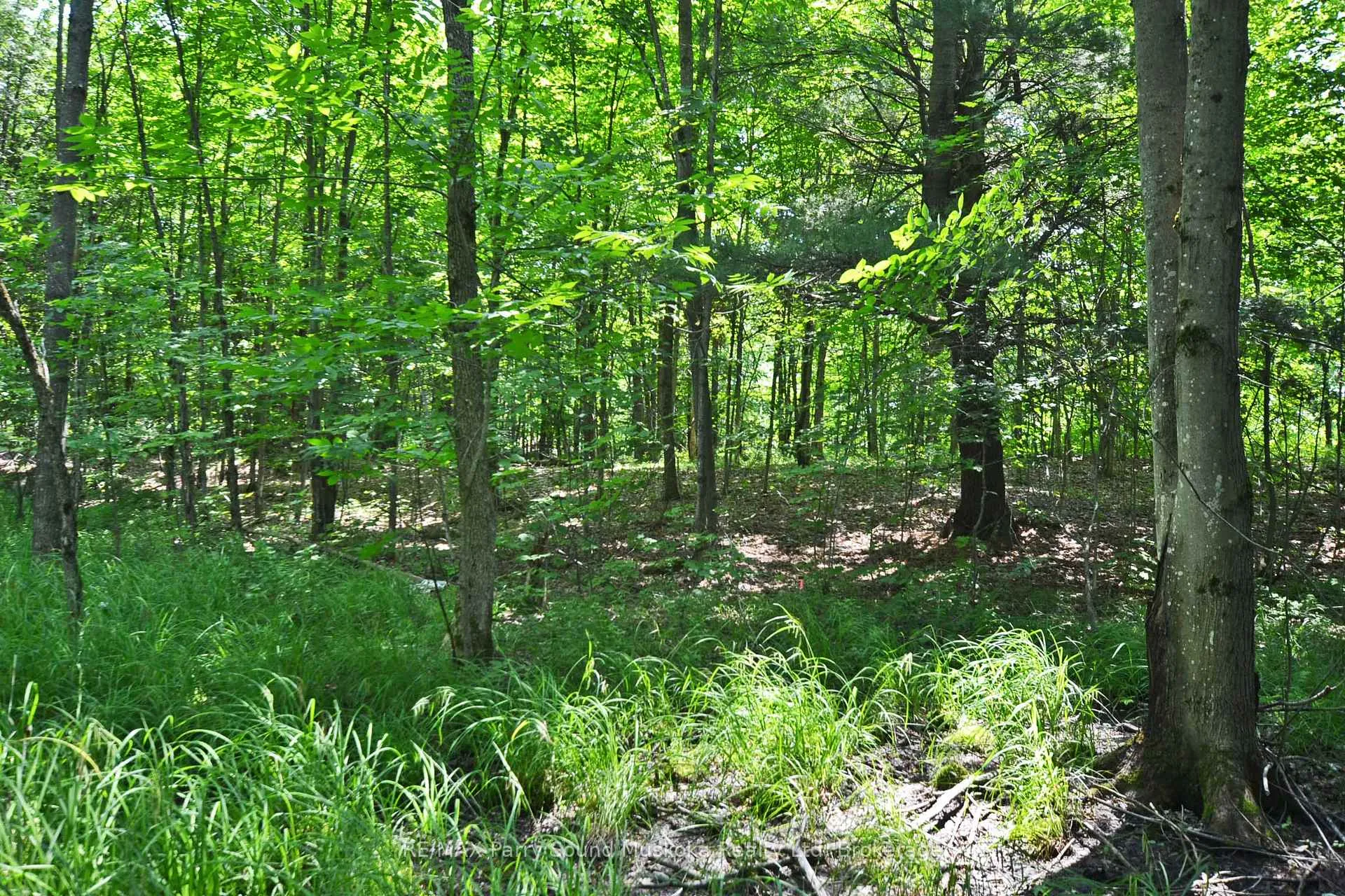 Photo 16 of 19 Turtle Lane, Parry Sound — HOMEH