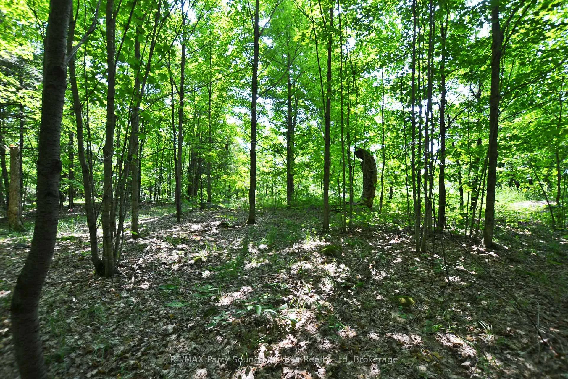 Photo 17 of 19 Turtle Lane, Parry Sound — HOMEH