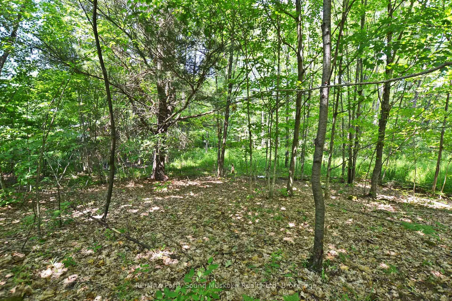 Photo 19 of 19 Turtle Lane, Parry Sound — HOMEH