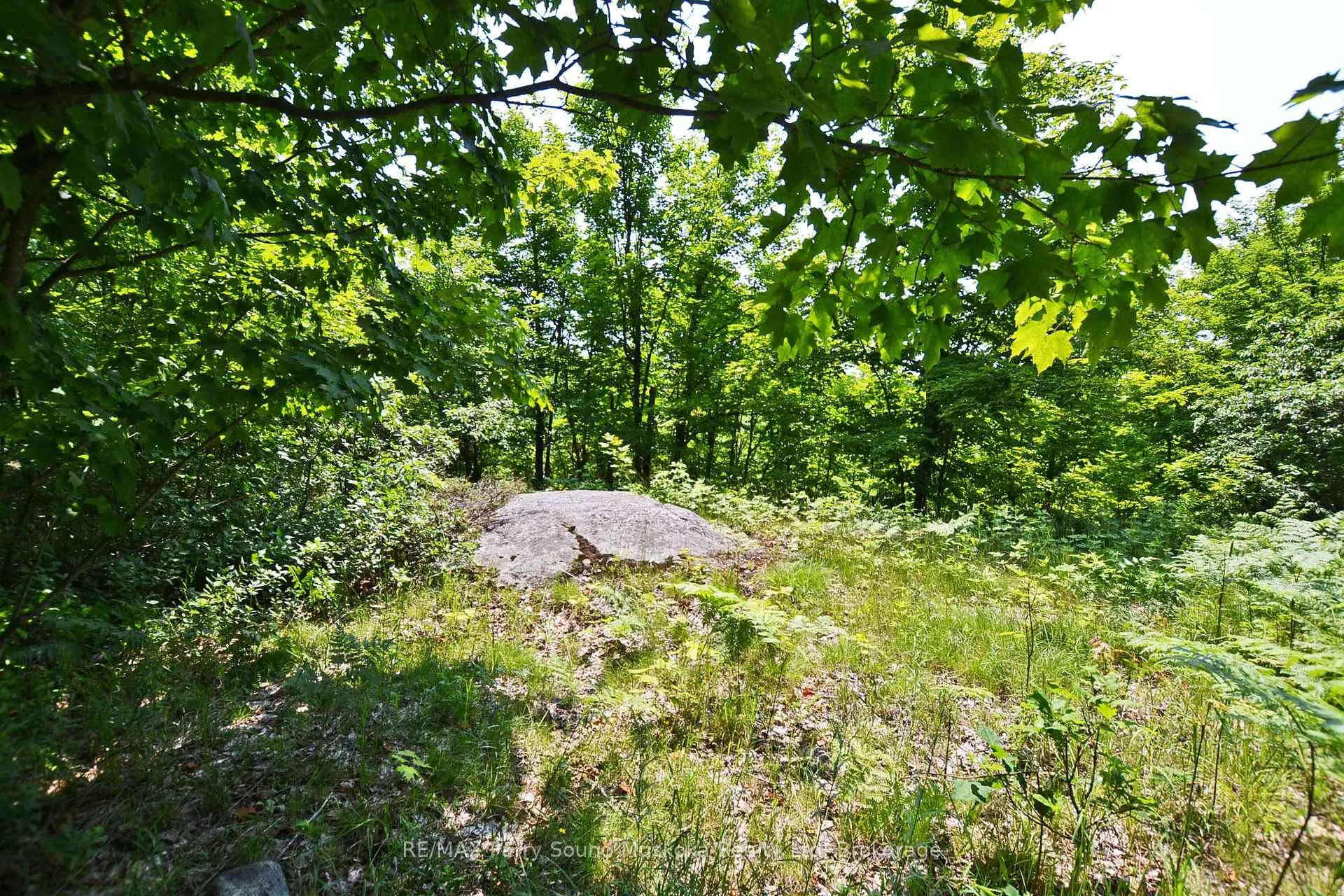 Photo 20 of 19 Turtle Lane, Parry Sound — HOMEH