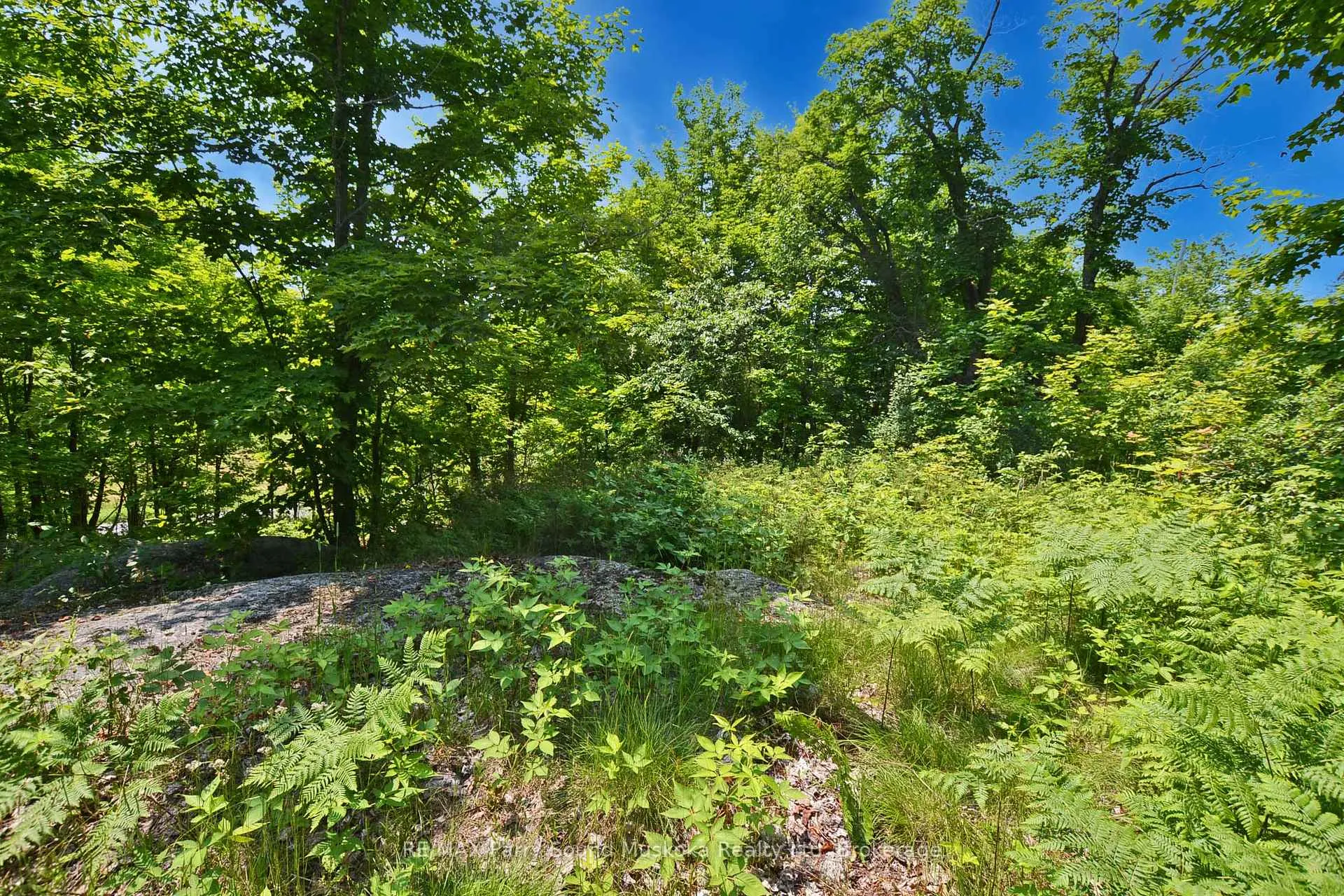 Photo 21 of 19 Turtle Lane, Parry Sound — HOMEH