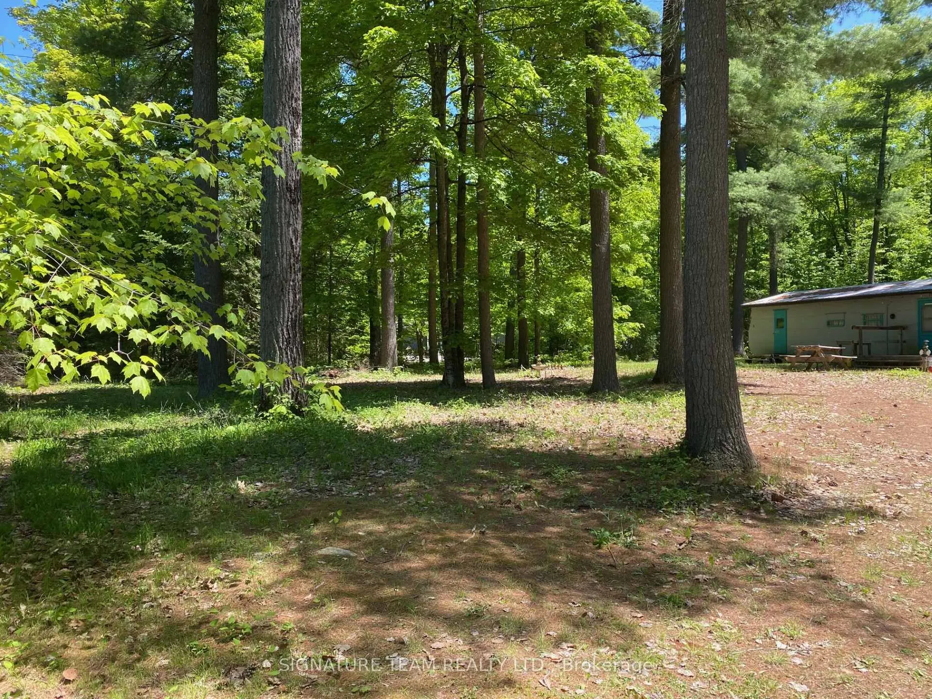 Photo 6 of 491 Jessup Road, North Algona Wilberforce, North Algona/Wilberforce Twp — HOMEH