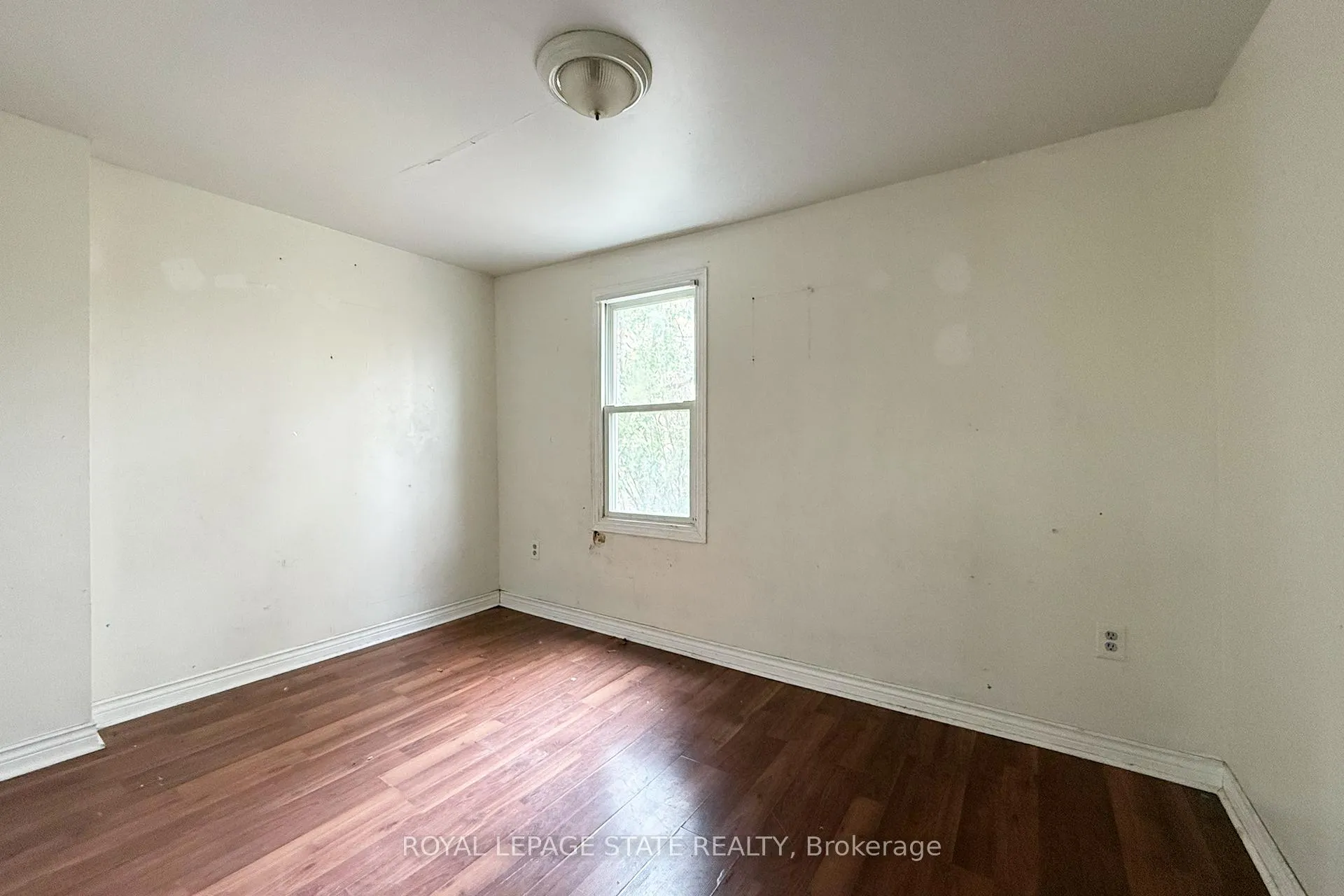 Photo 15 of 260 Emerson Street, Hamilton, Ainslie Wood — HOMEH