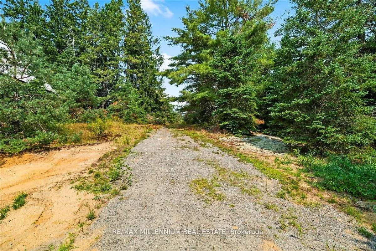 Photo 7 of 3529 Highway 118 E, Bracebridge, Oakley — HOMEH