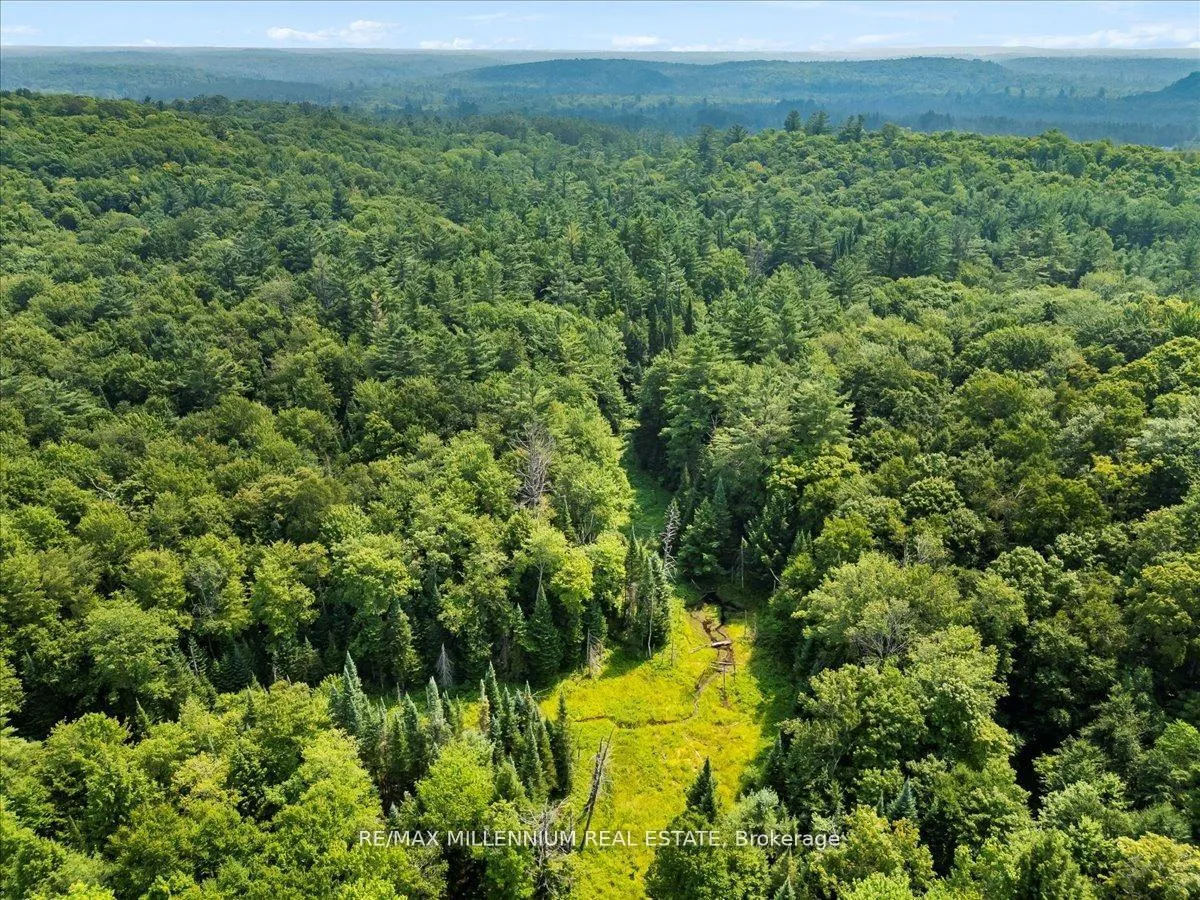Photo 16 of 3529 Highway 118 E, Bracebridge, Oakley — HOMEH