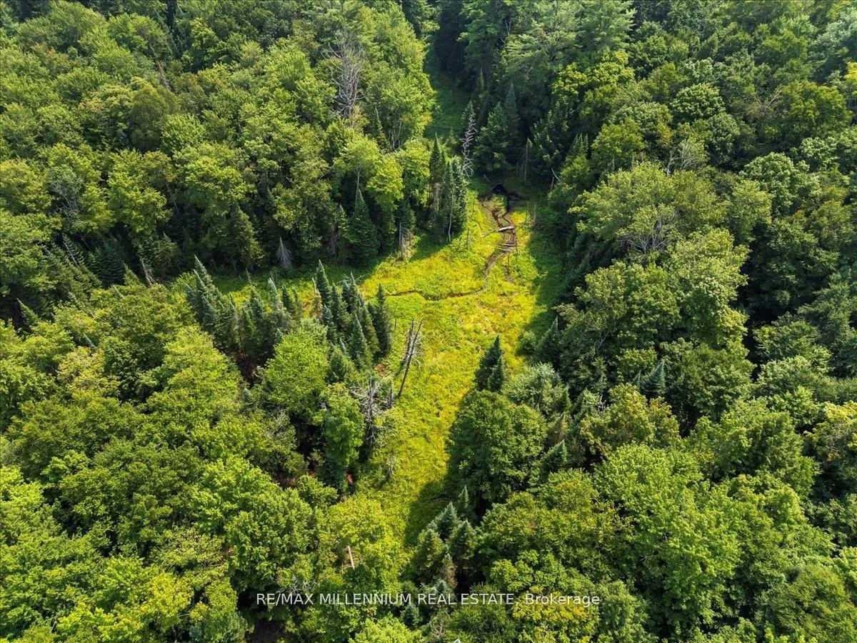Photo 18 of 3529 Highway 118 E, Bracebridge, Oakley — HOMEH