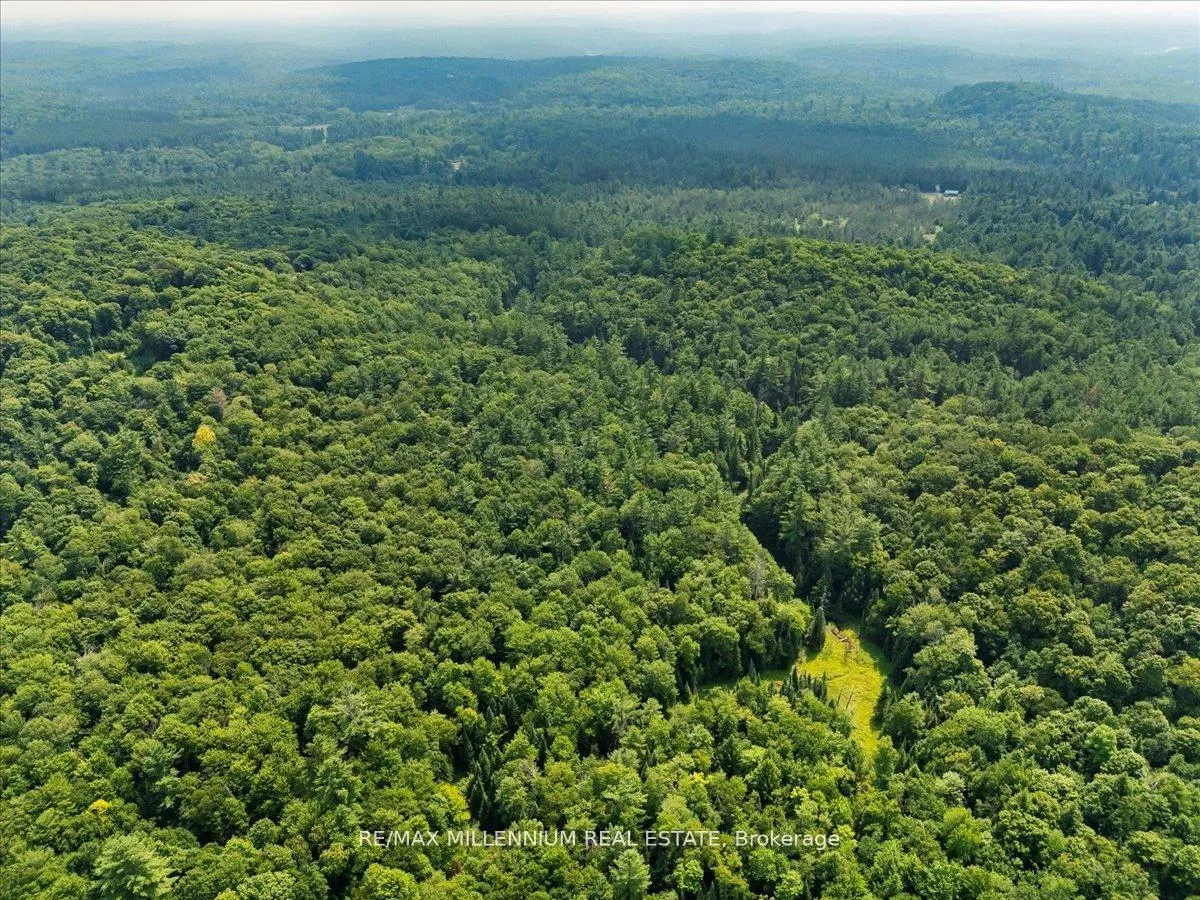 Photo 25 of 3529 Highway 118 E, Bracebridge, Oakley — HOMEH