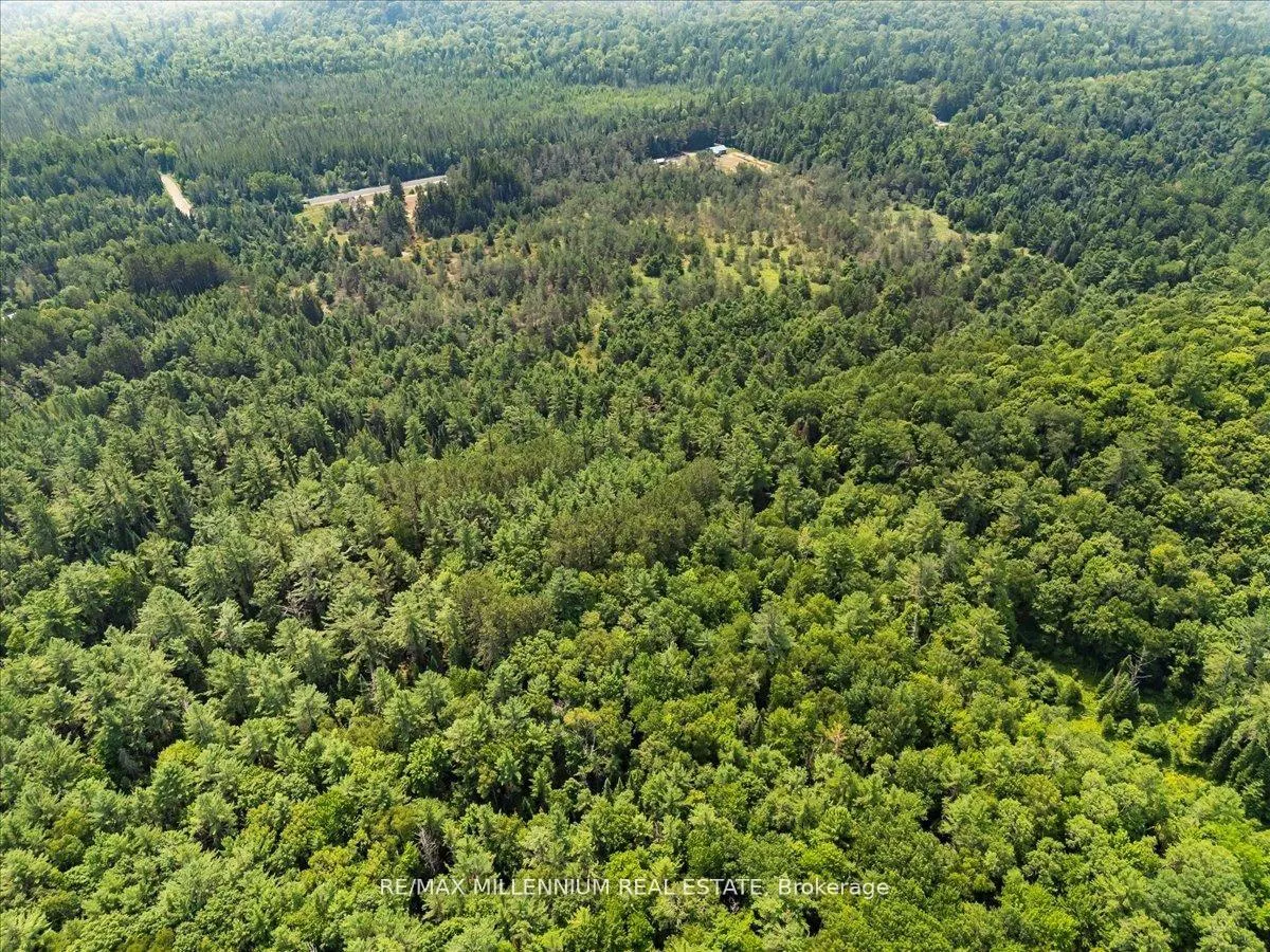 Photo 29 of 3529 Highway 118 E, Bracebridge, Oakley — HOMEH