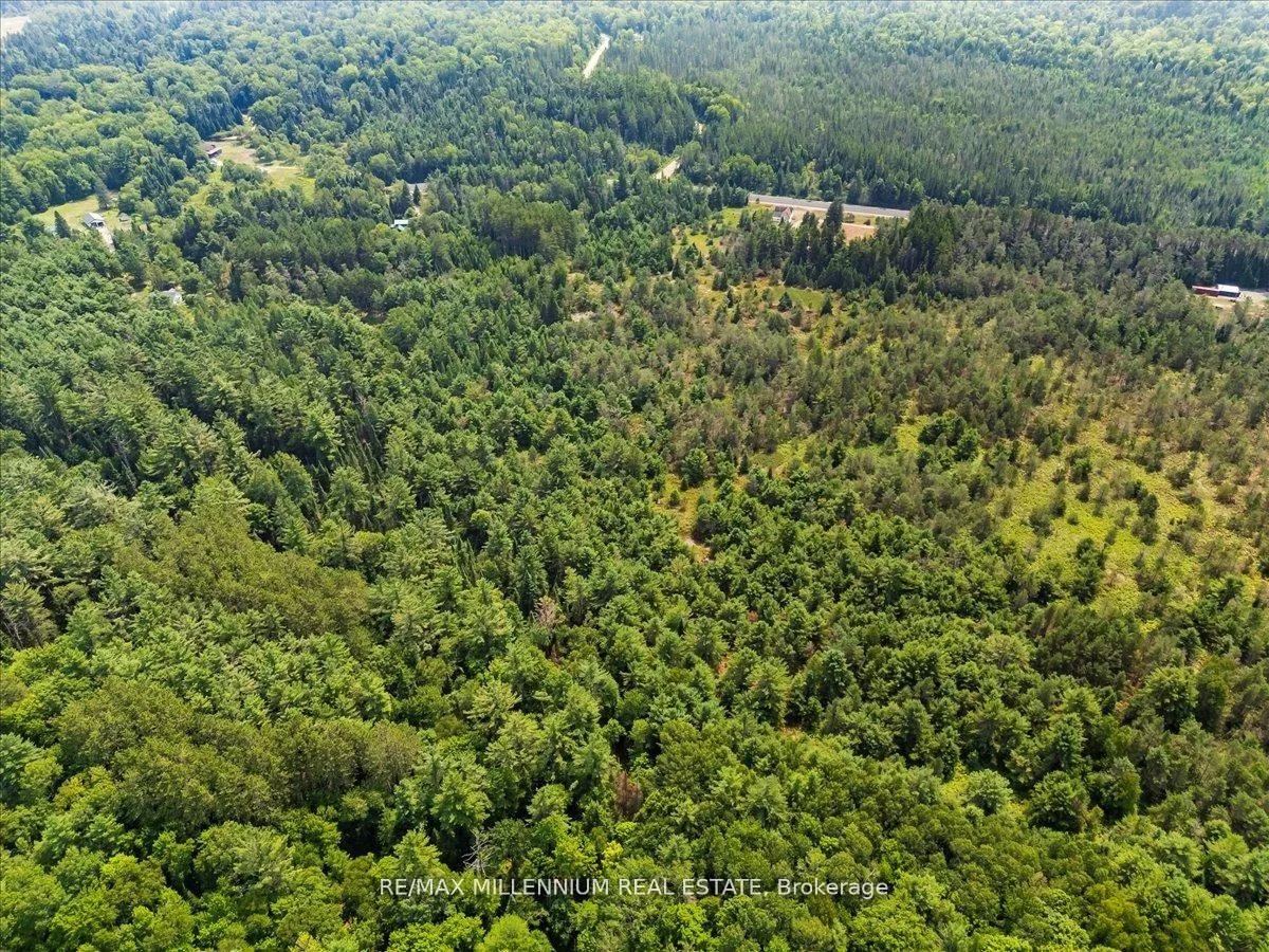 Photo 32 of 3529 Highway 118 E, Bracebridge, Oakley — HOMEH