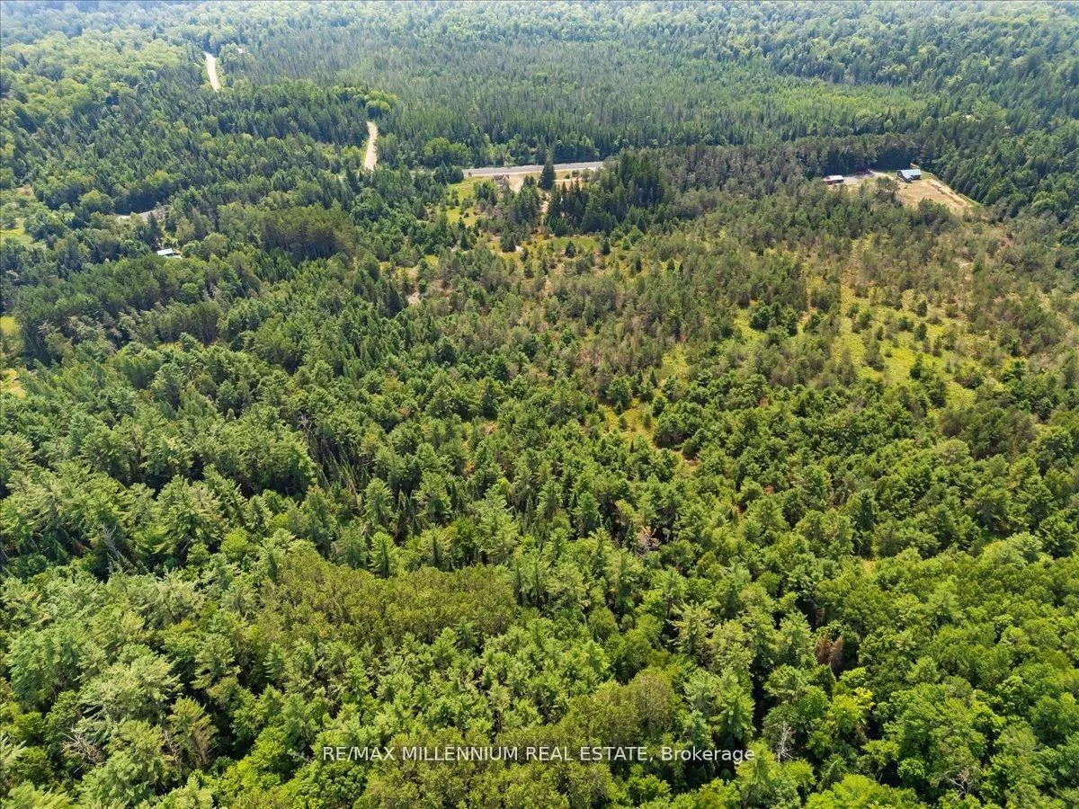 Photo 33 of 3529 Highway 118 E, Bracebridge, Oakley — HOMEH