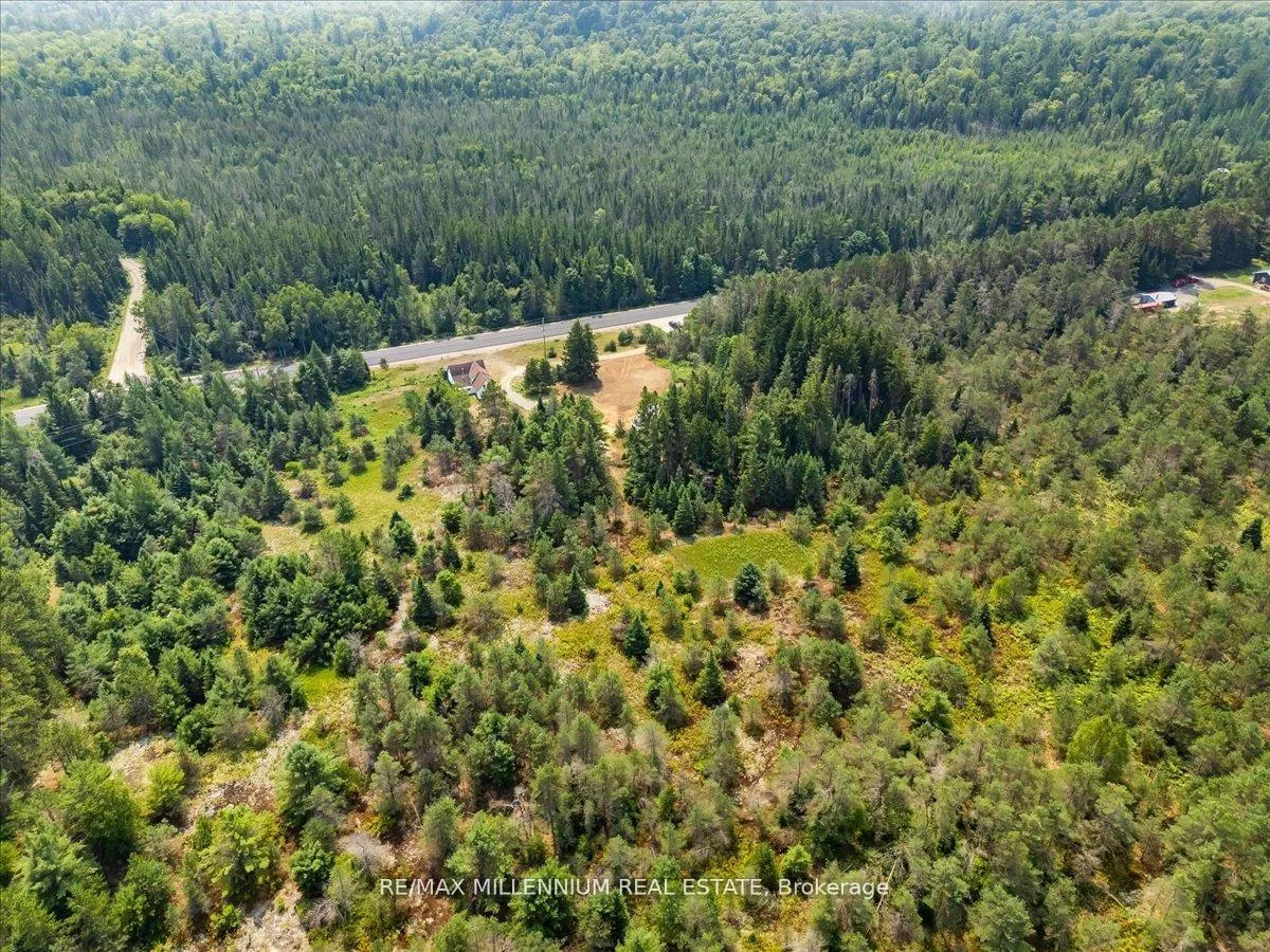 Photo 34 of 3529 Highway 118 E, Bracebridge, Oakley — HOMEH