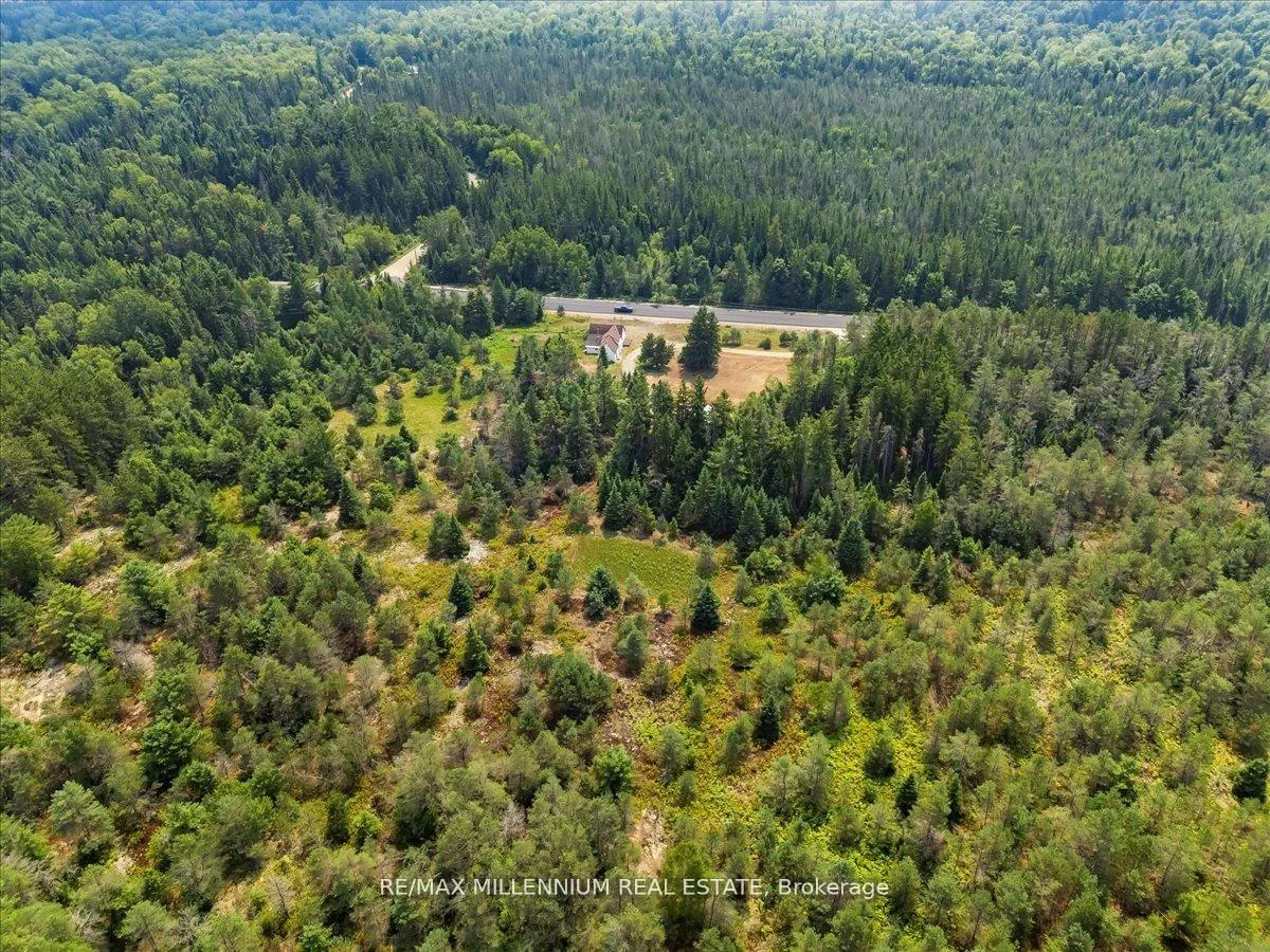 Photo 35 of 3529 Highway 118 E, Bracebridge, Oakley — HOMEH